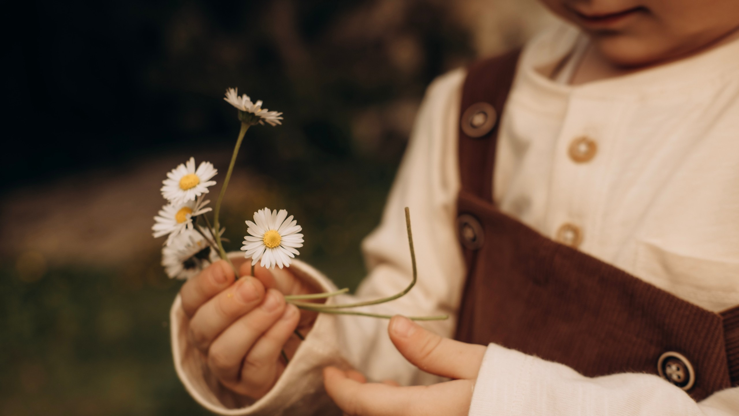 Конюшня. Главная