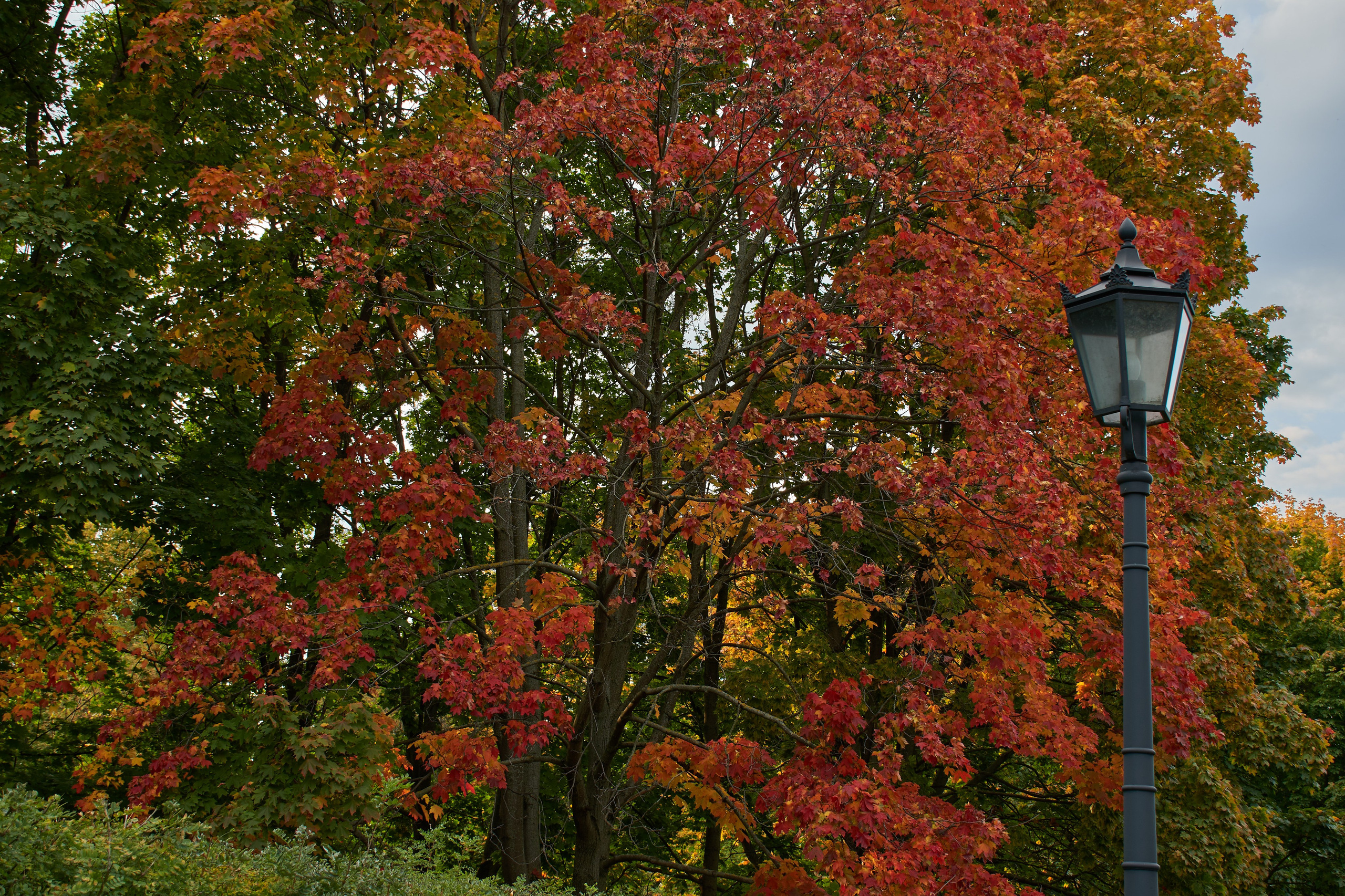 20200927 Коломенское. Дмитрий Ремизов. Фотография, как хобби