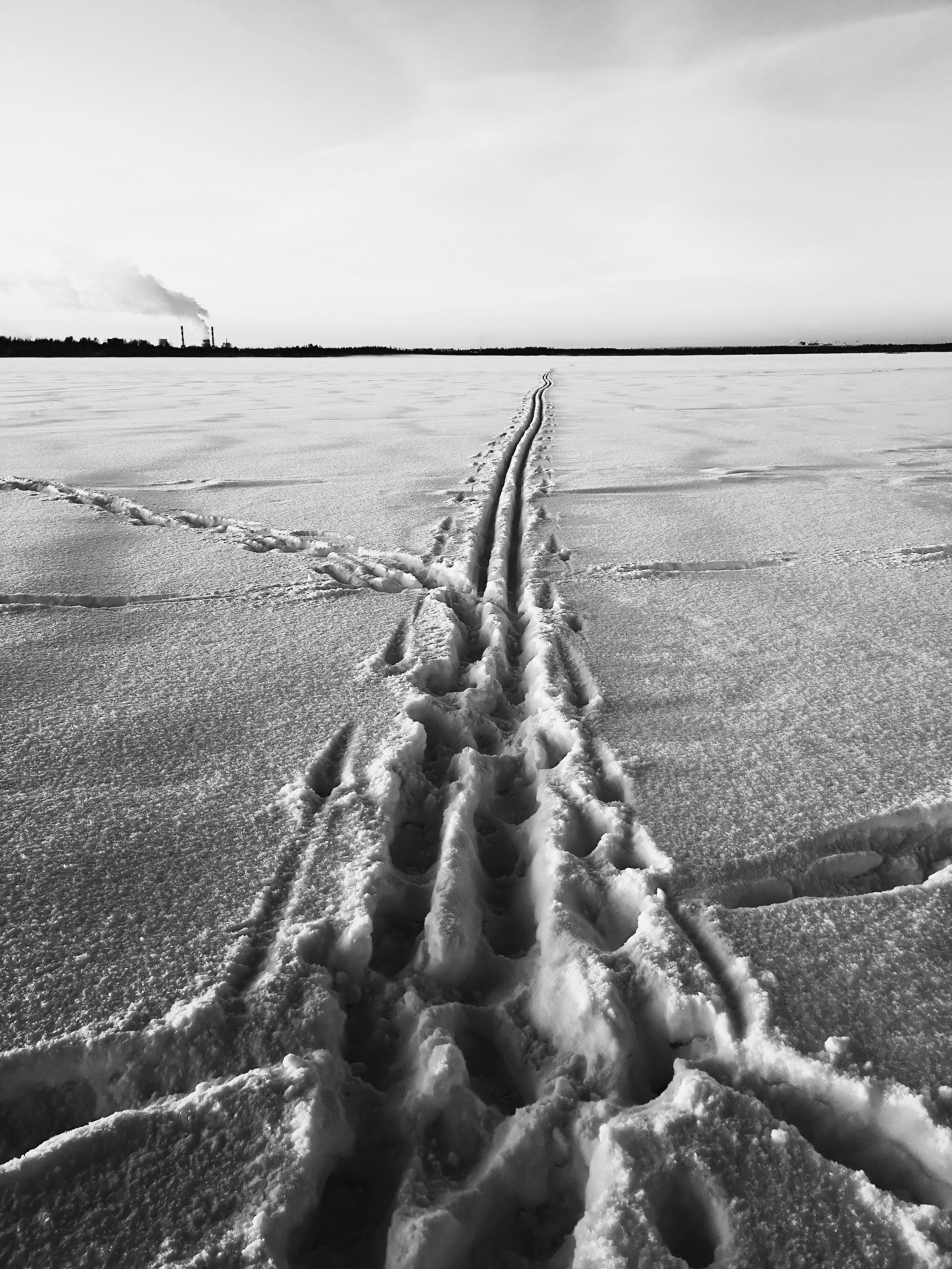 Разное. Фотограф Анастасия Федорова  Санкт-Петербург