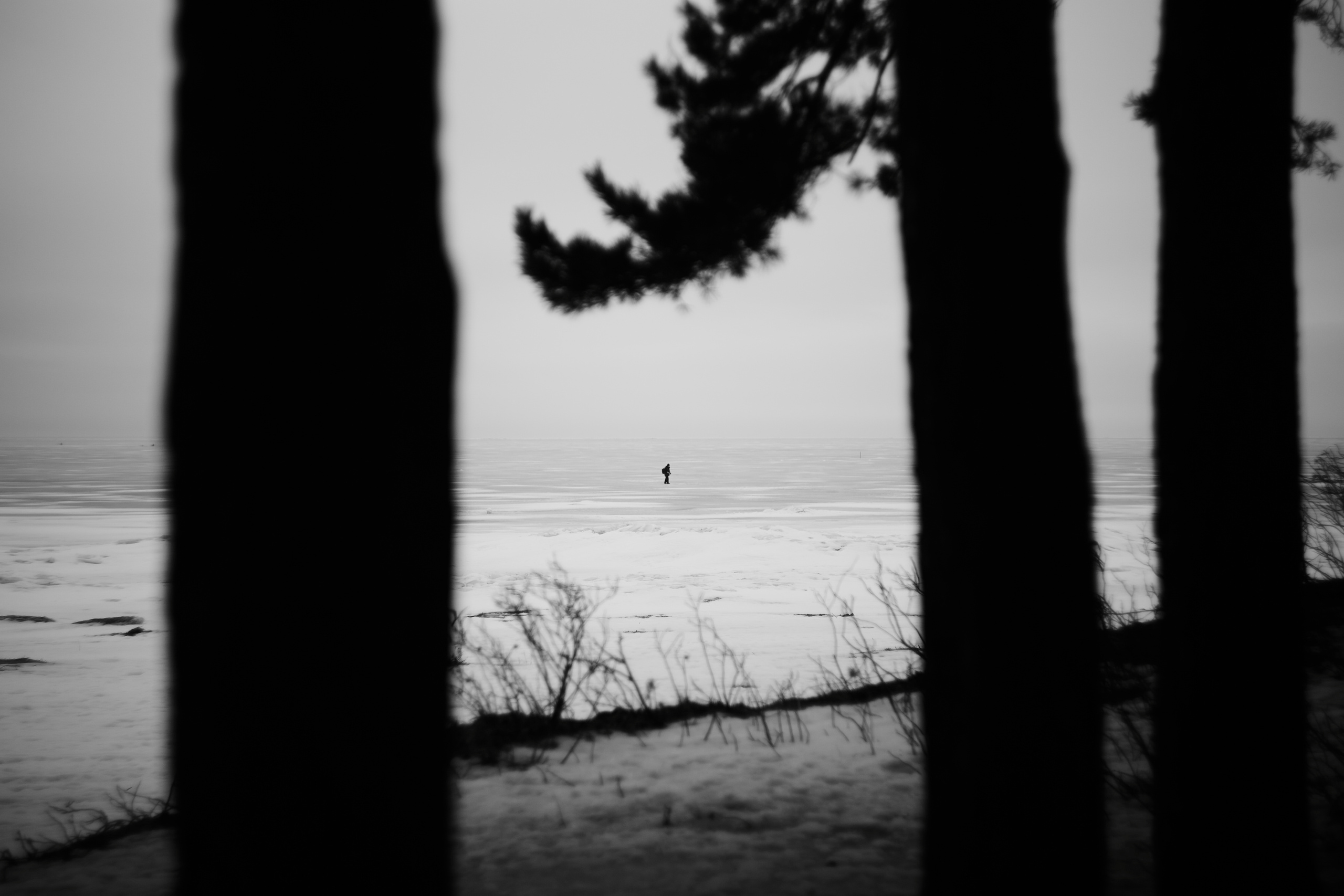 Разное. Фотограф Анастасия Федорова  Санкт-Петербург