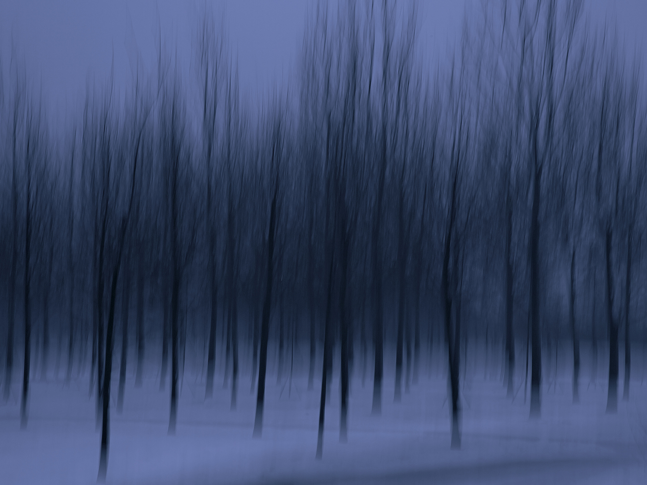 Art пейзаж. Фотограф Анастасия Федорова  Санкт-Петербург