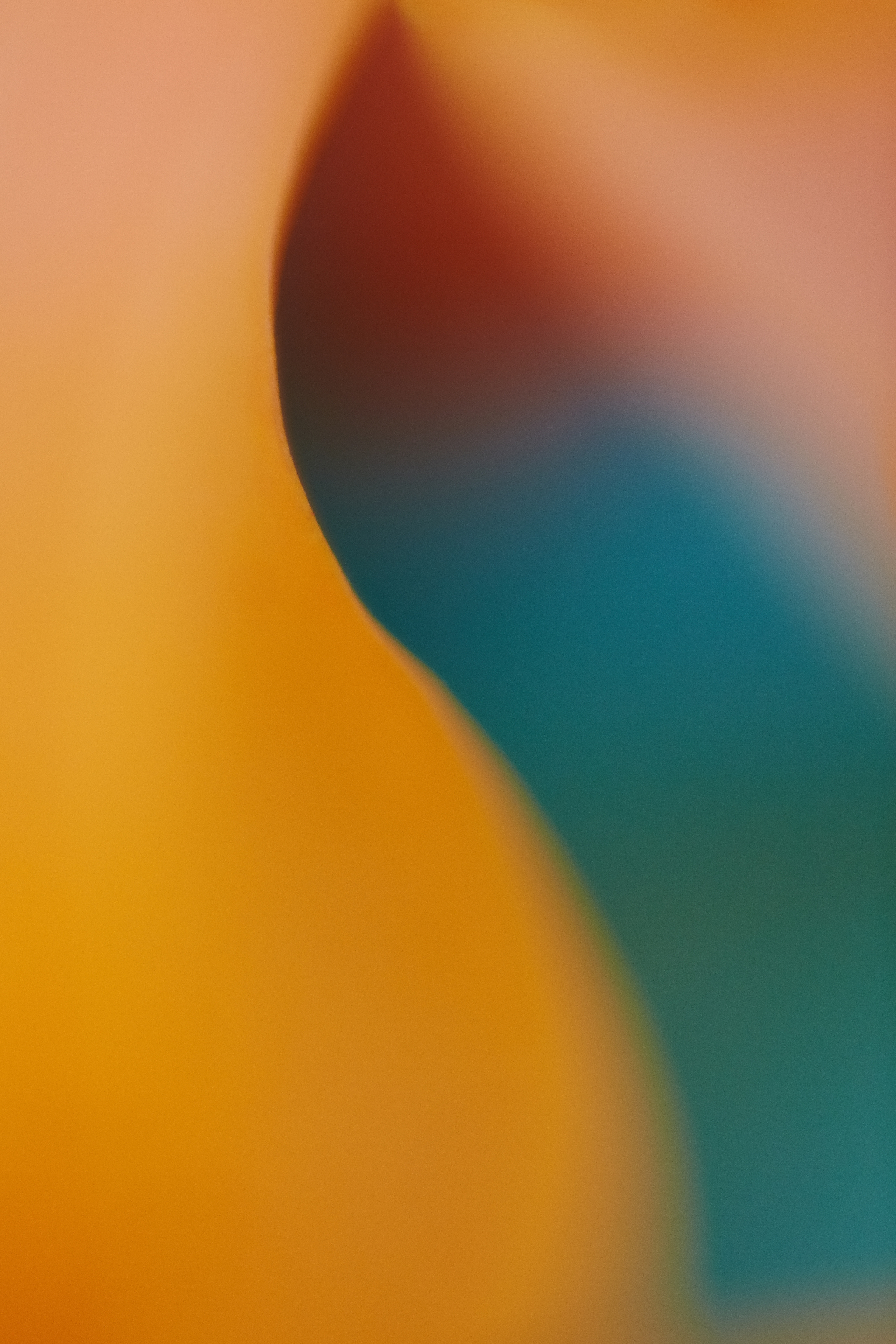 Art пейзаж. Фотограф Анастасия Федорова  Санкт-Петербург