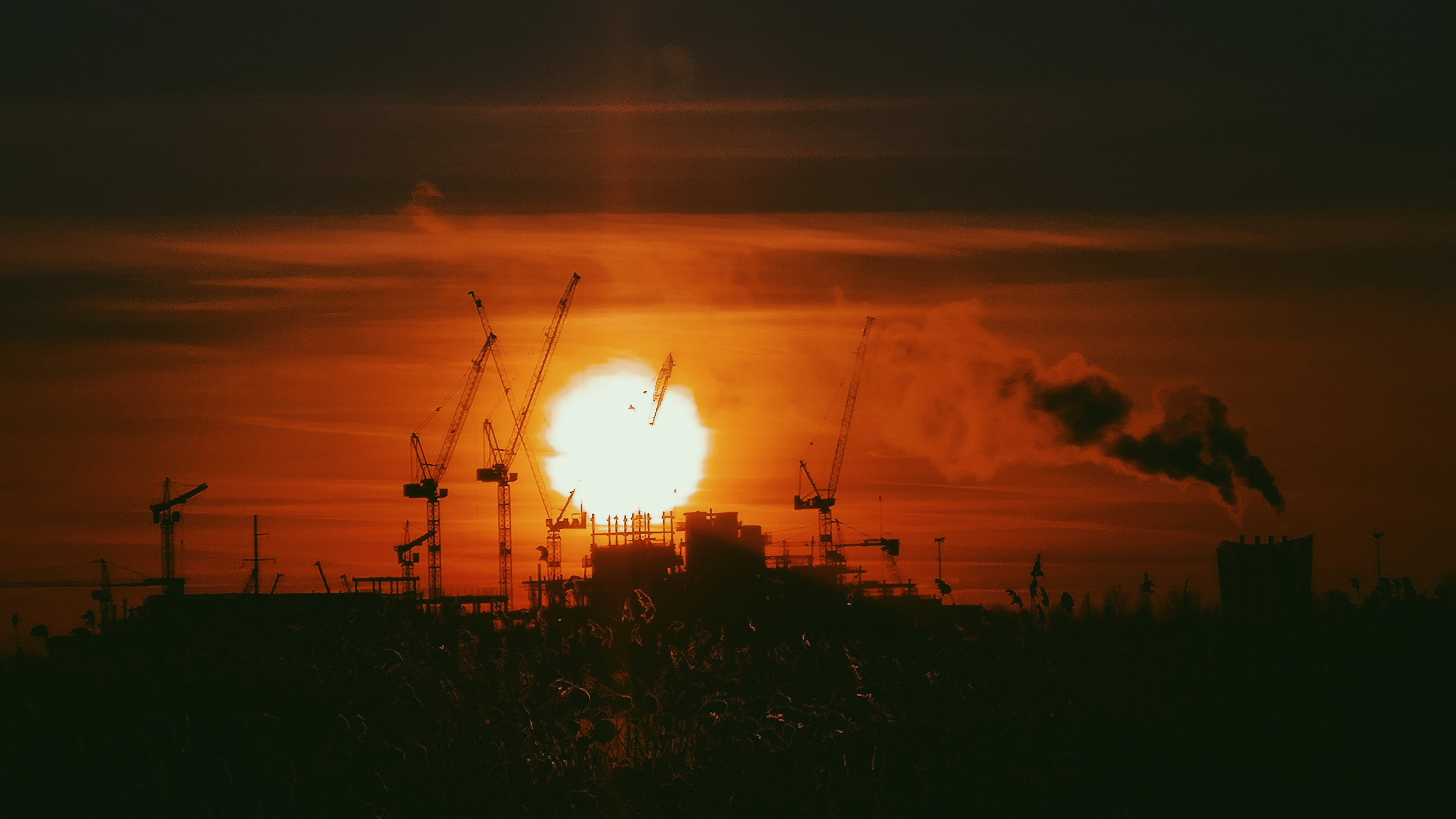 Разное. Фотограф Анастасия Федорова  Санкт-Петербург