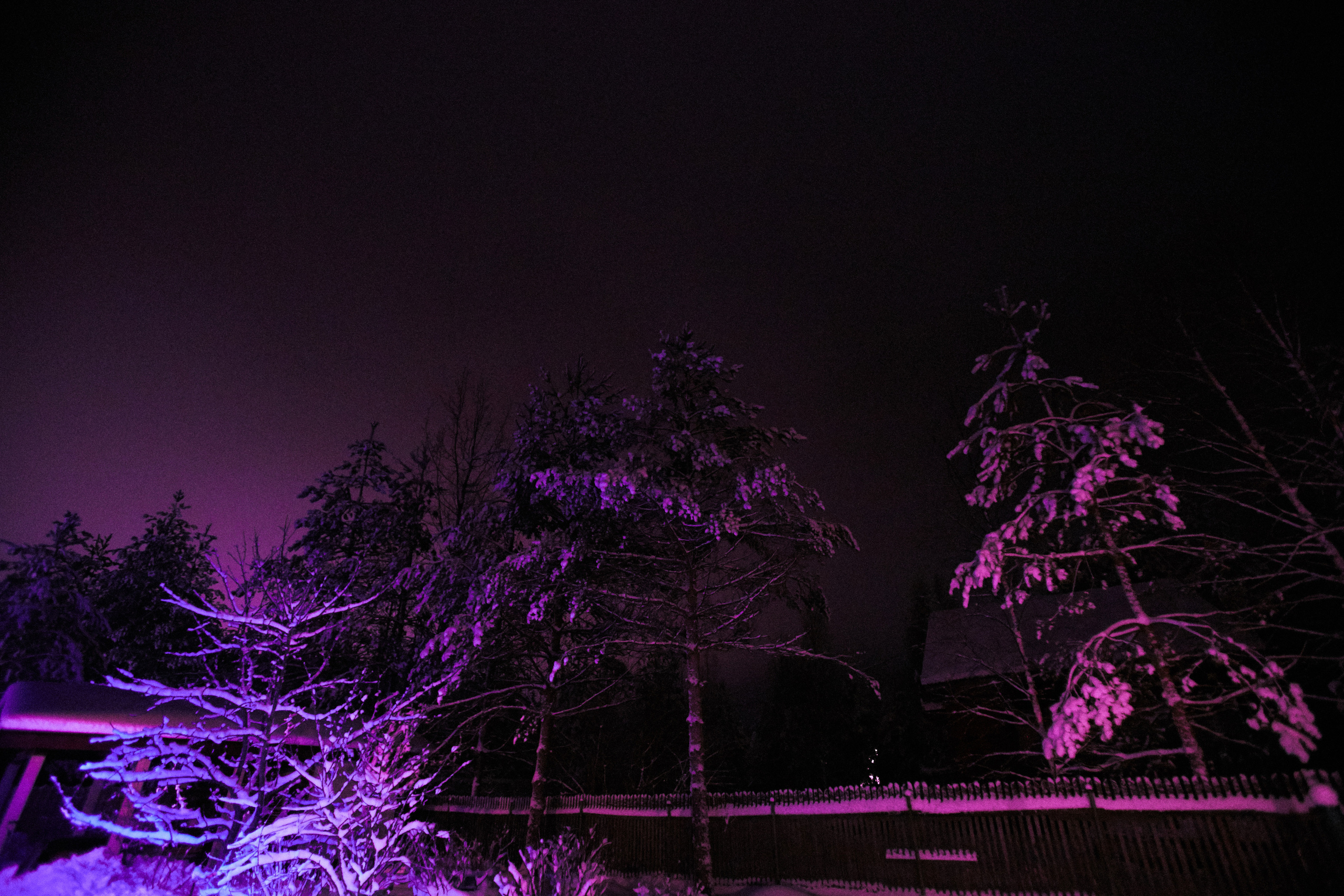 Разное. Фотограф Анастасия Федорова  Санкт-Петербург