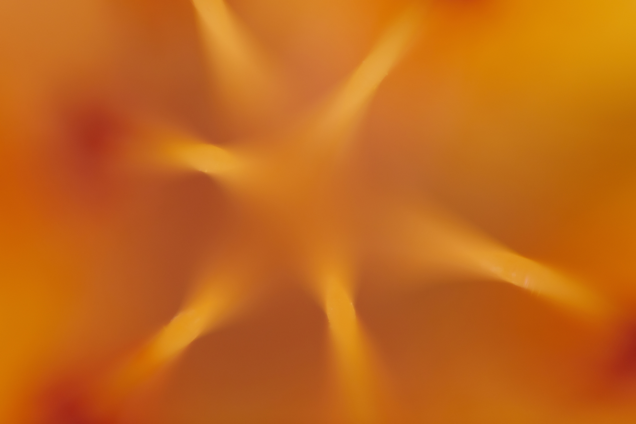 Art пейзаж. Фотограф Анастасия Федорова  Санкт-Петербург