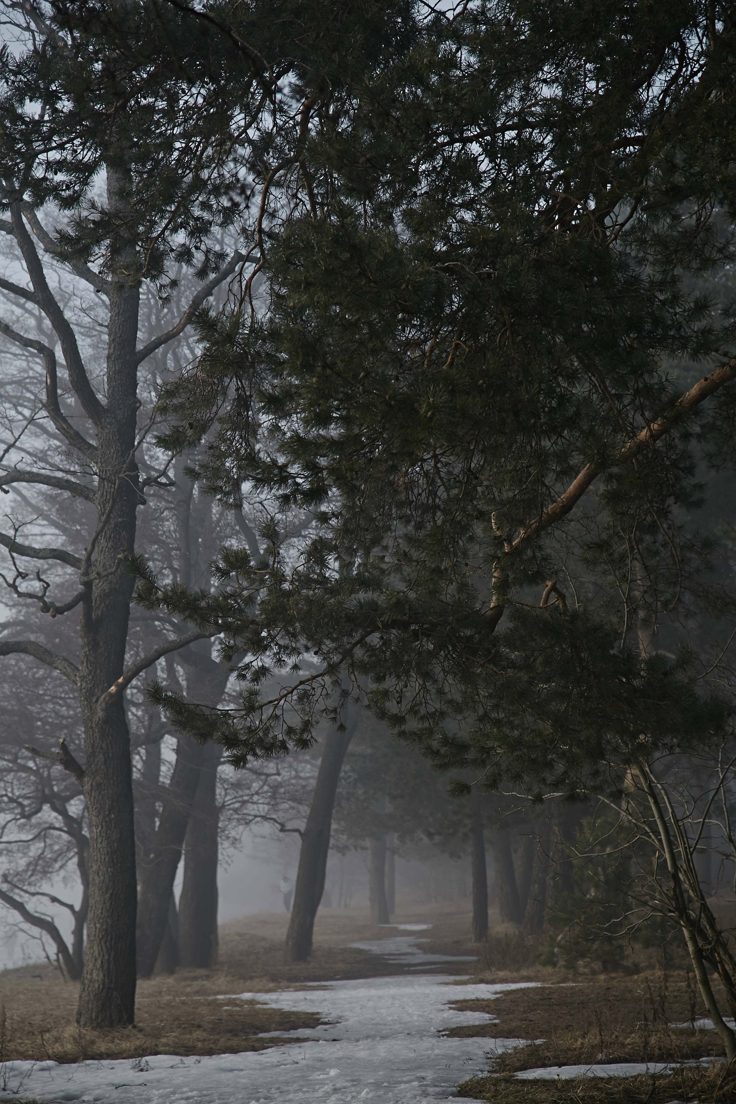 Разное. Фотограф Анастасия Федорова  Санкт-Петербург