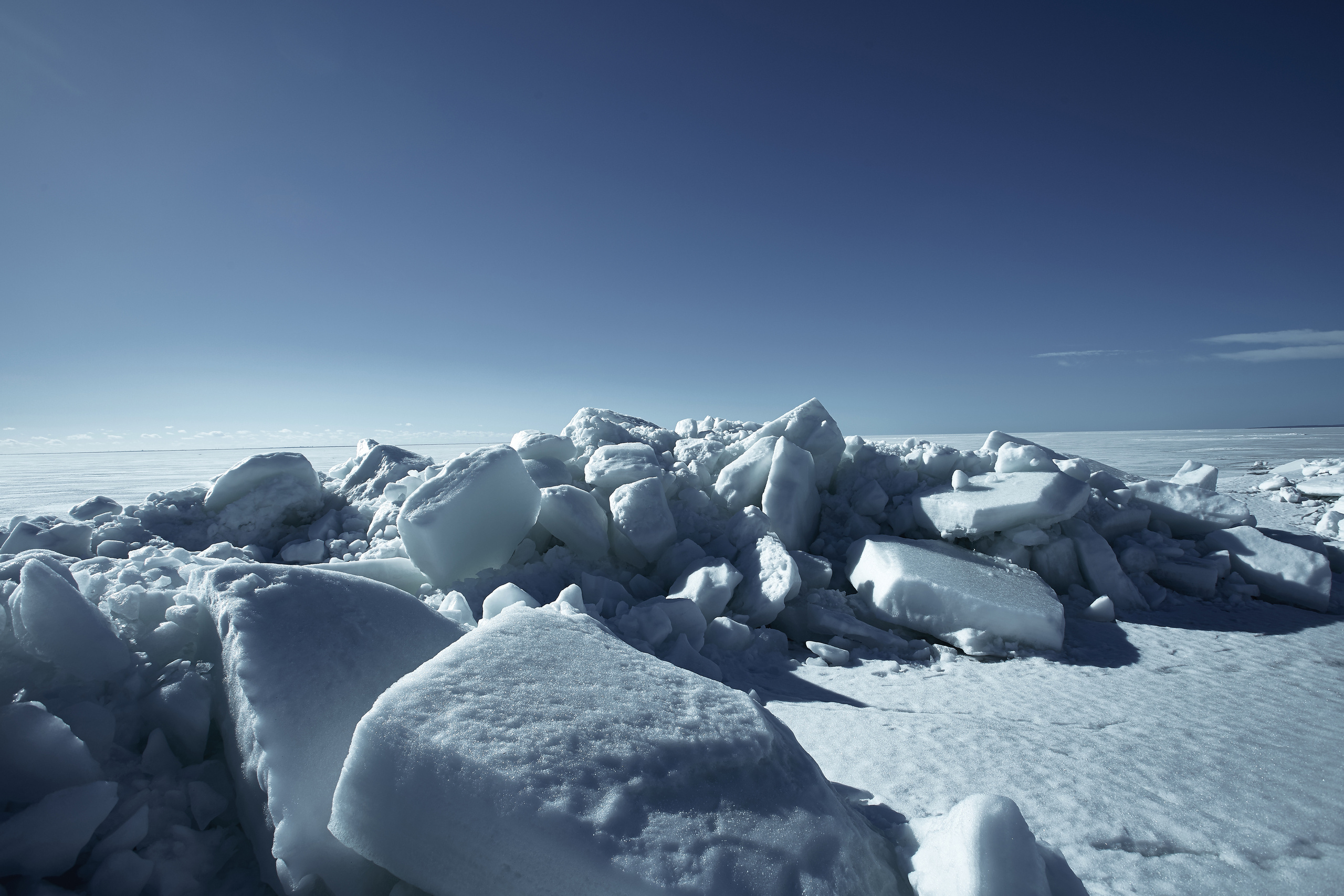 Разное. Фотограф Анастасия Федорова  Санкт-Петербург