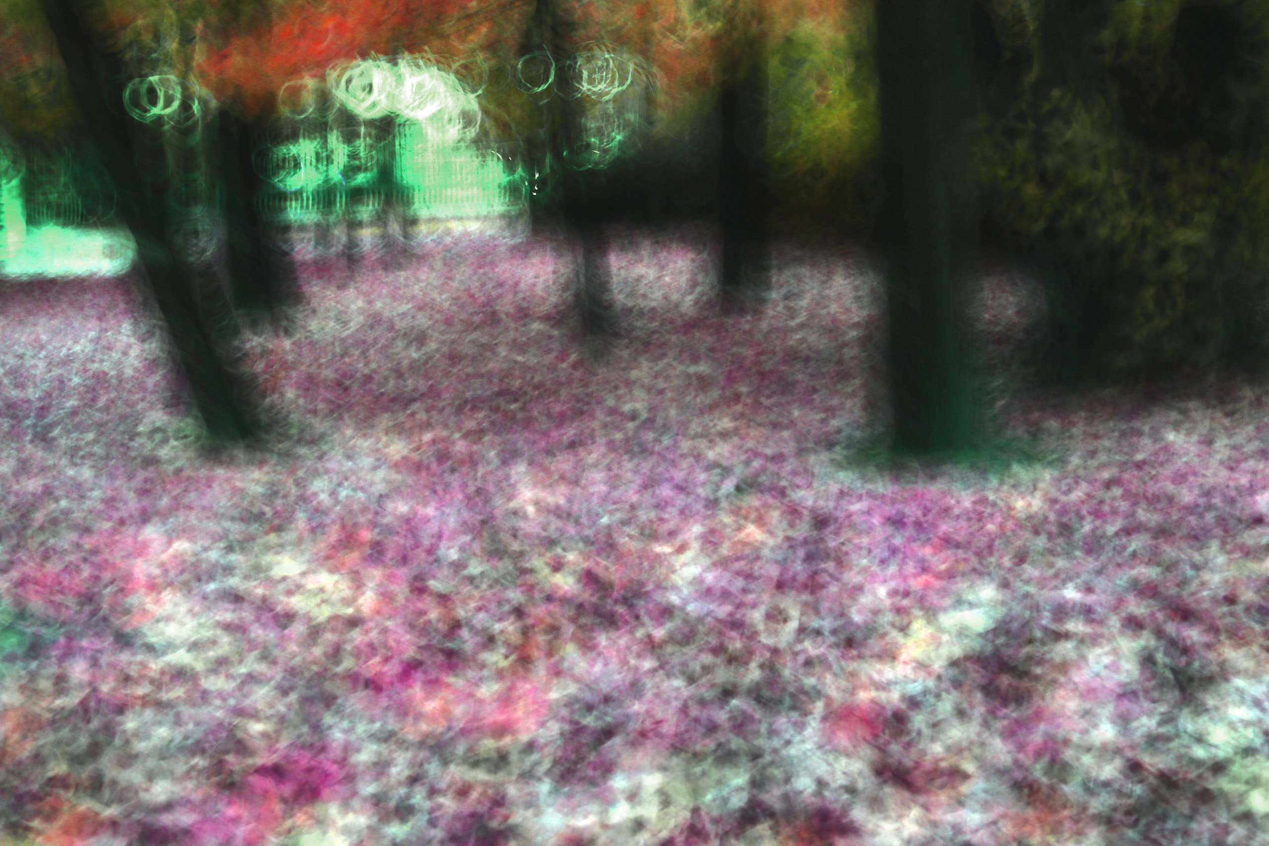 Art пейзаж. Фотограф Анастасия Федорова  Санкт-Петербург