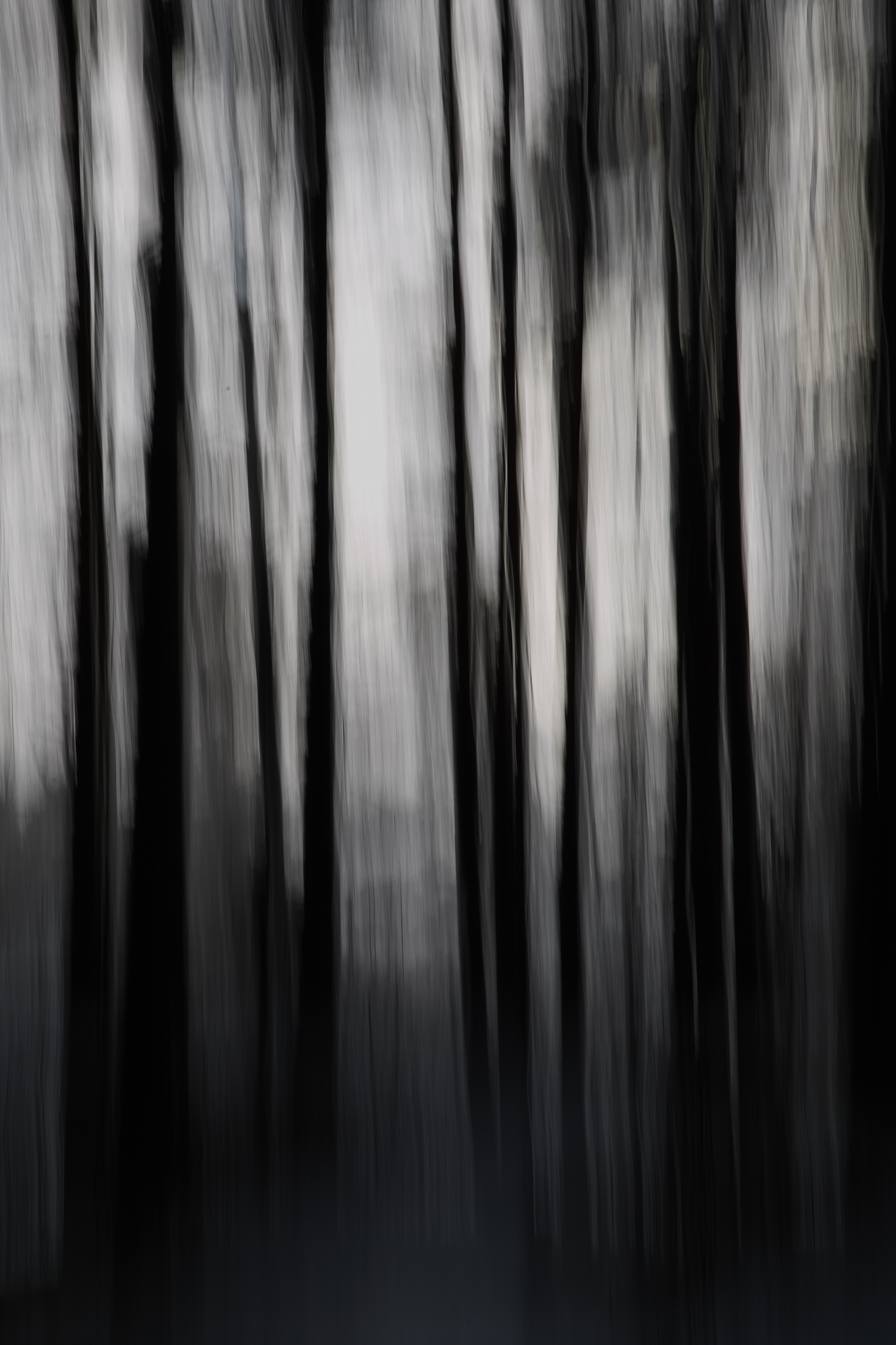 Art пейзаж. Фотограф Анастасия Федорова  Санкт-Петербург