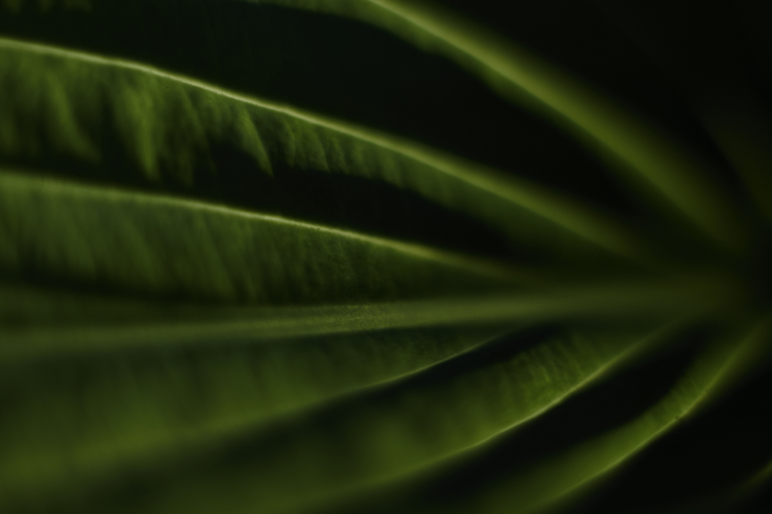 Art пейзаж. Фотограф Анастасия Федорова  Санкт-Петербург