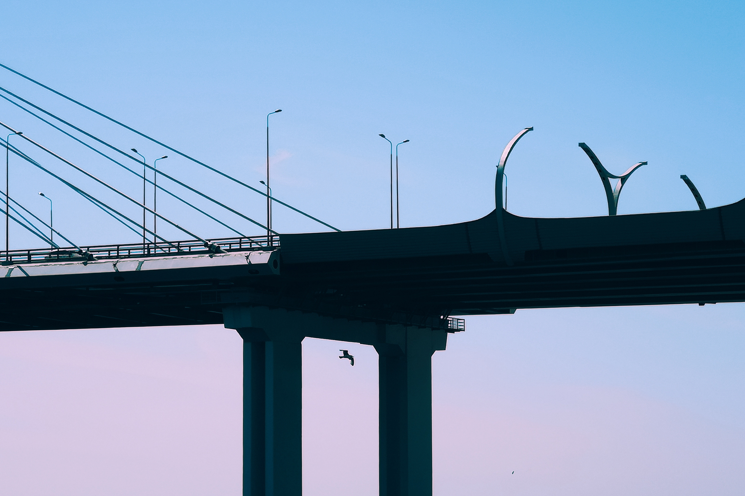 Разное. Фотограф Анастасия Федорова  Санкт-Петербург