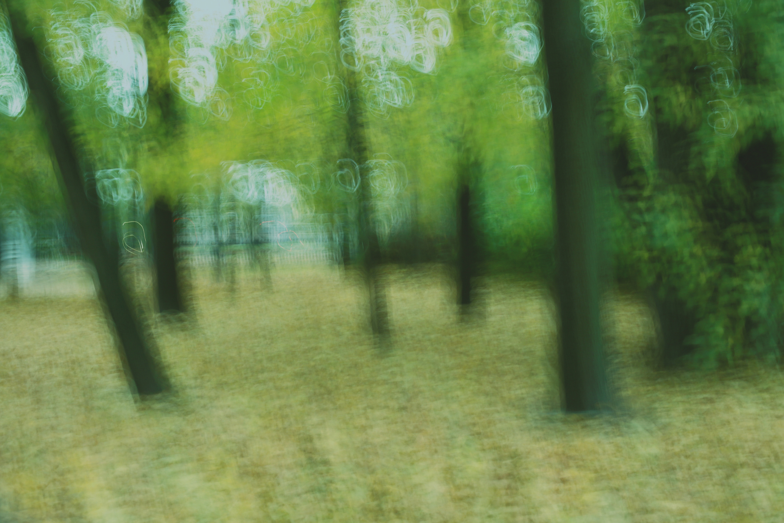 Art пейзаж. Фотограф Анастасия Федорова  Санкт-Петербург