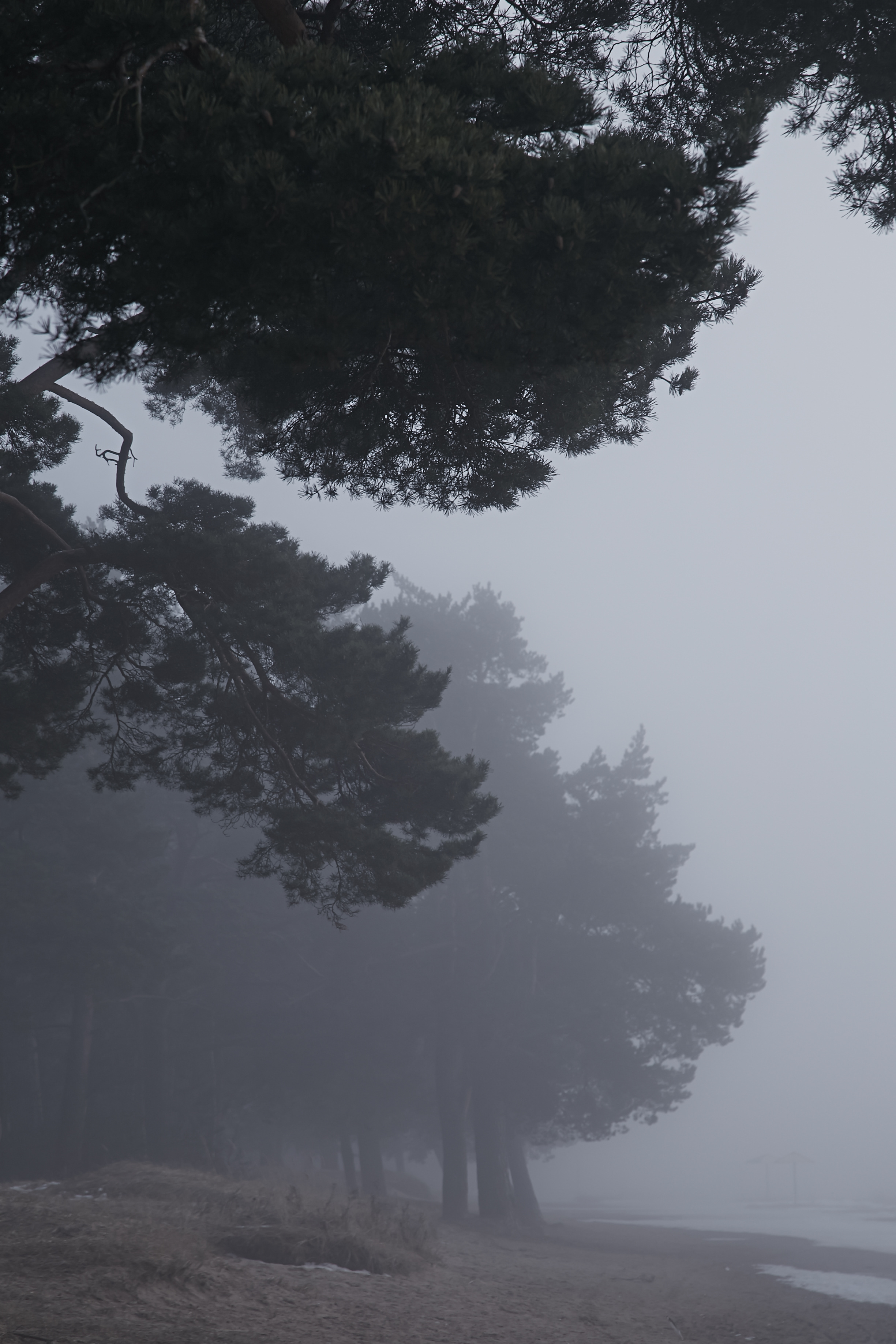 Разное. Фотограф Анастасия Федорова  Санкт-Петербург