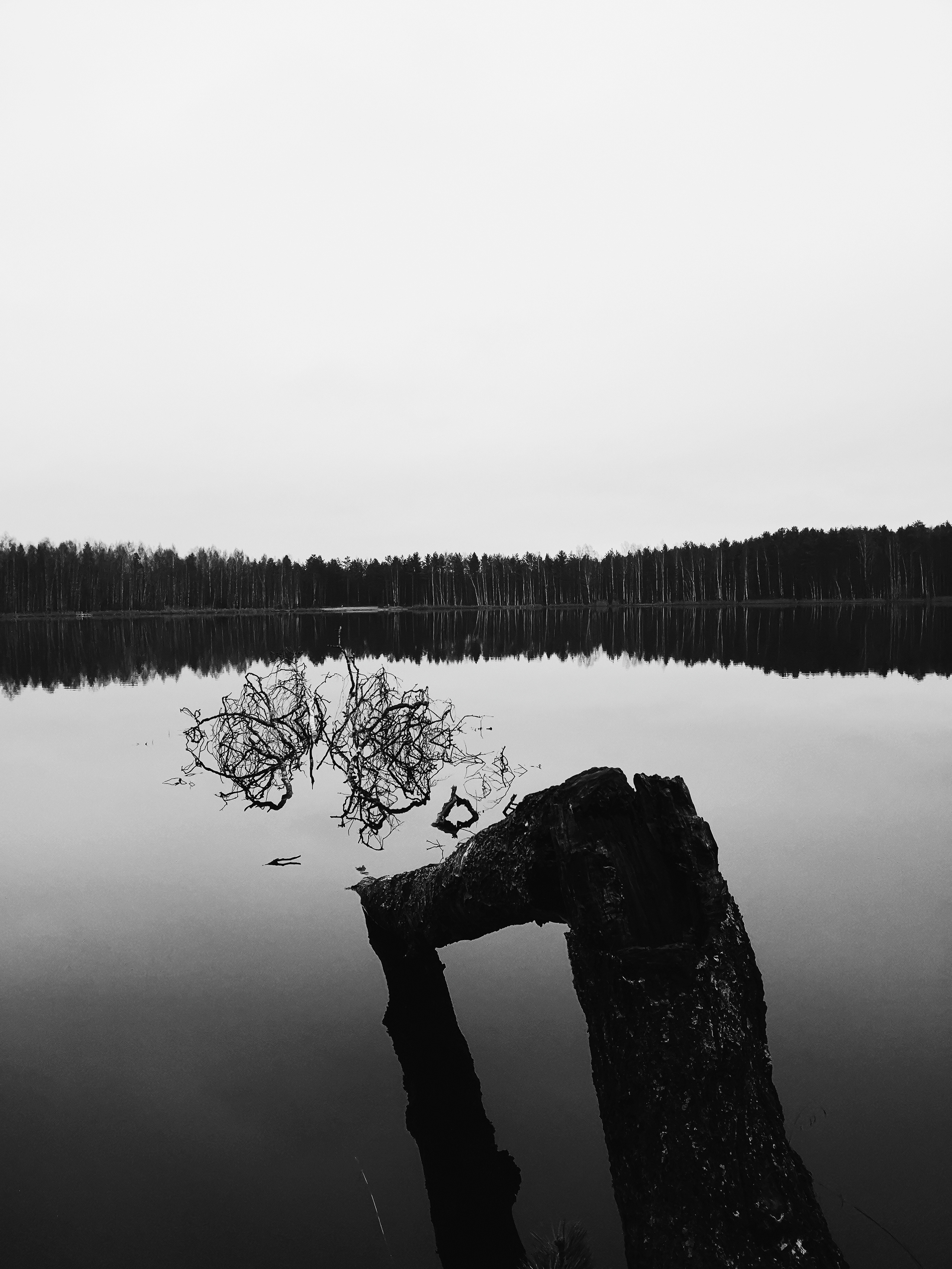 Разное. Фотограф Анастасия Федорова  Санкт-Петербург