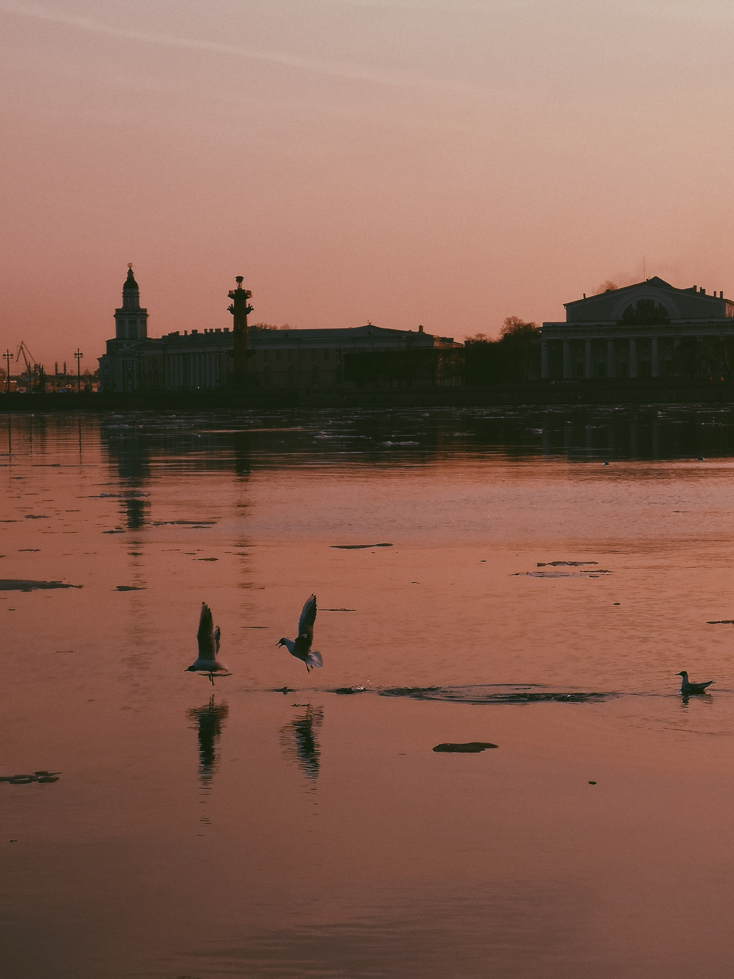 Разное. Фотограф Анастасия Федорова  Санкт-Петербург
