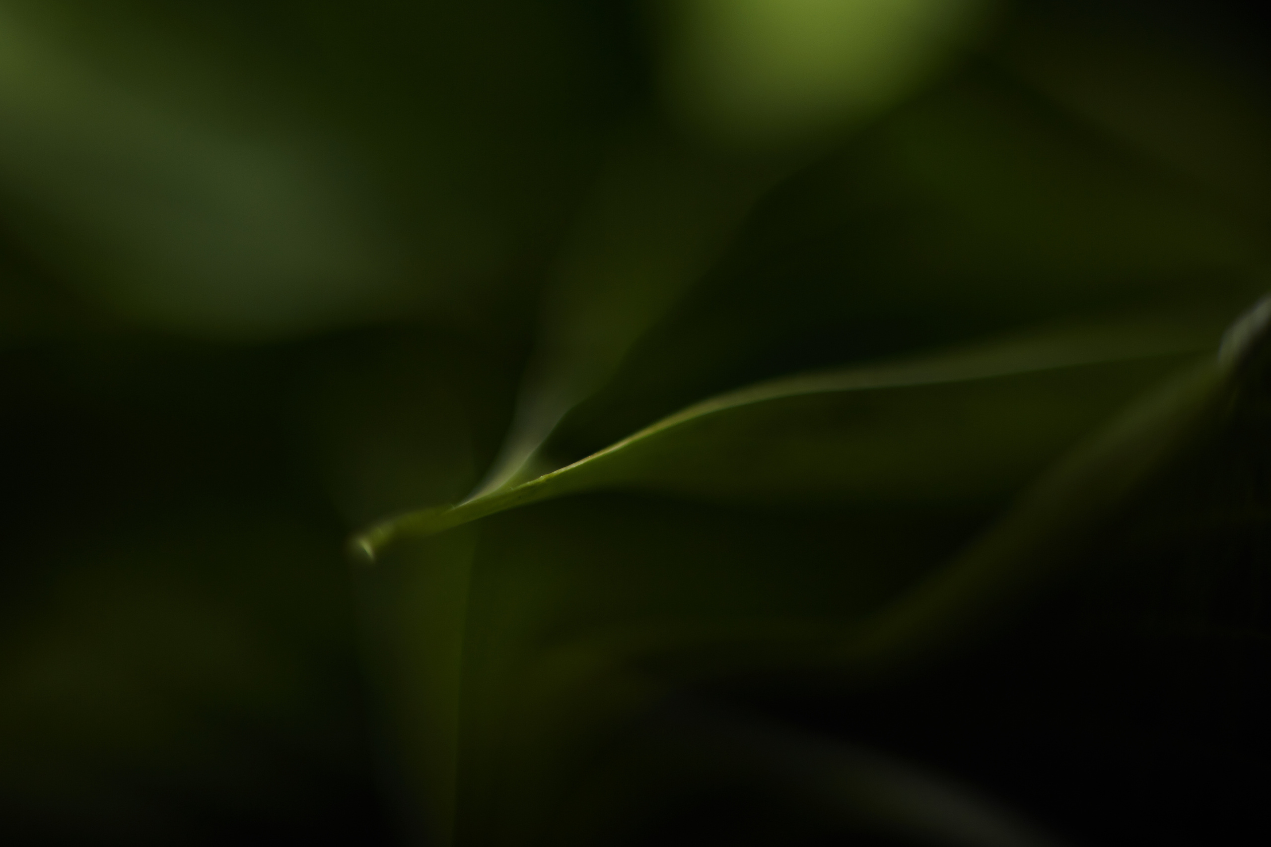 Art пейзаж. Фотограф Анастасия Федорова  Санкт-Петербург