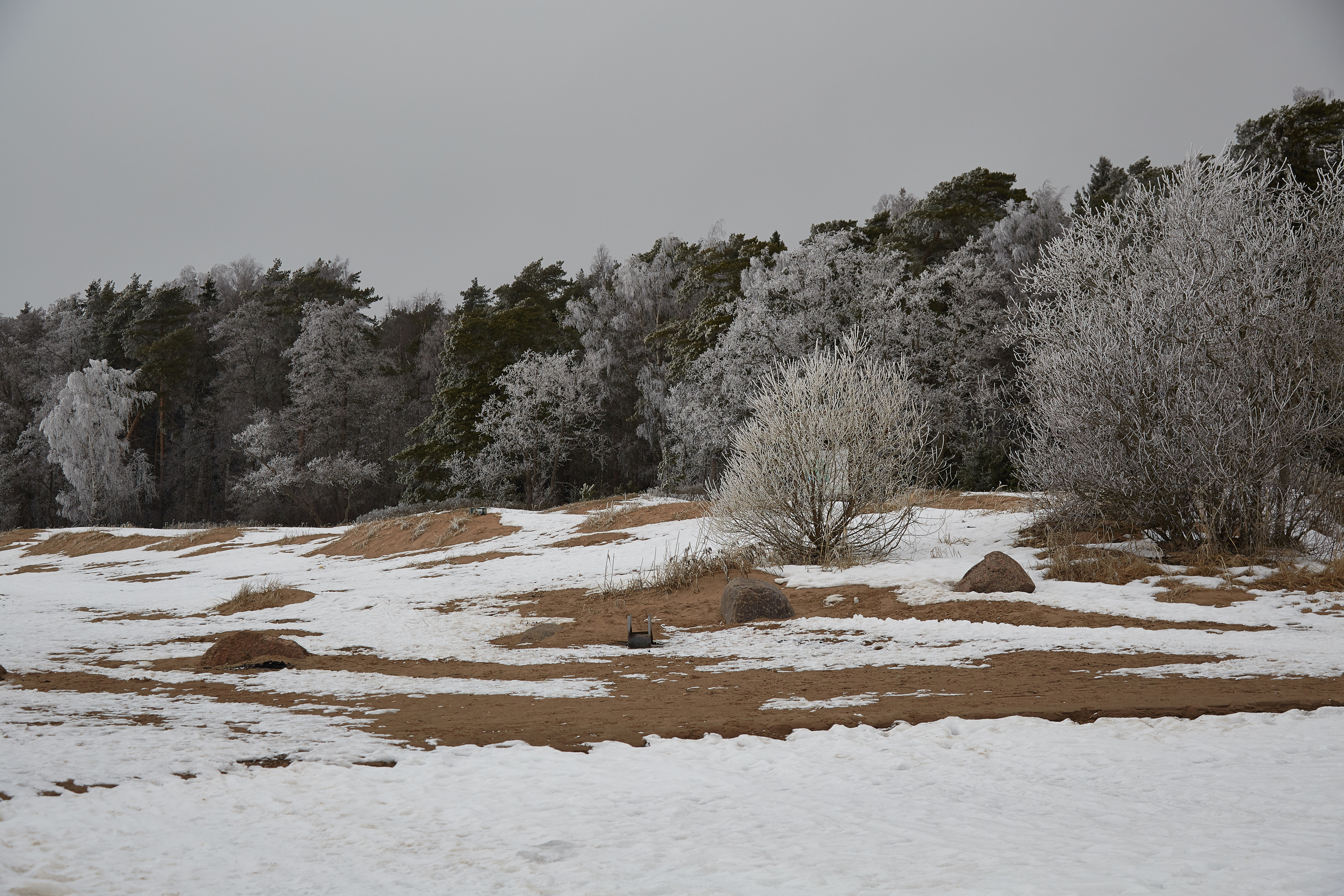 Разное. Фотограф Анастасия Федорова  Санкт-Петербург