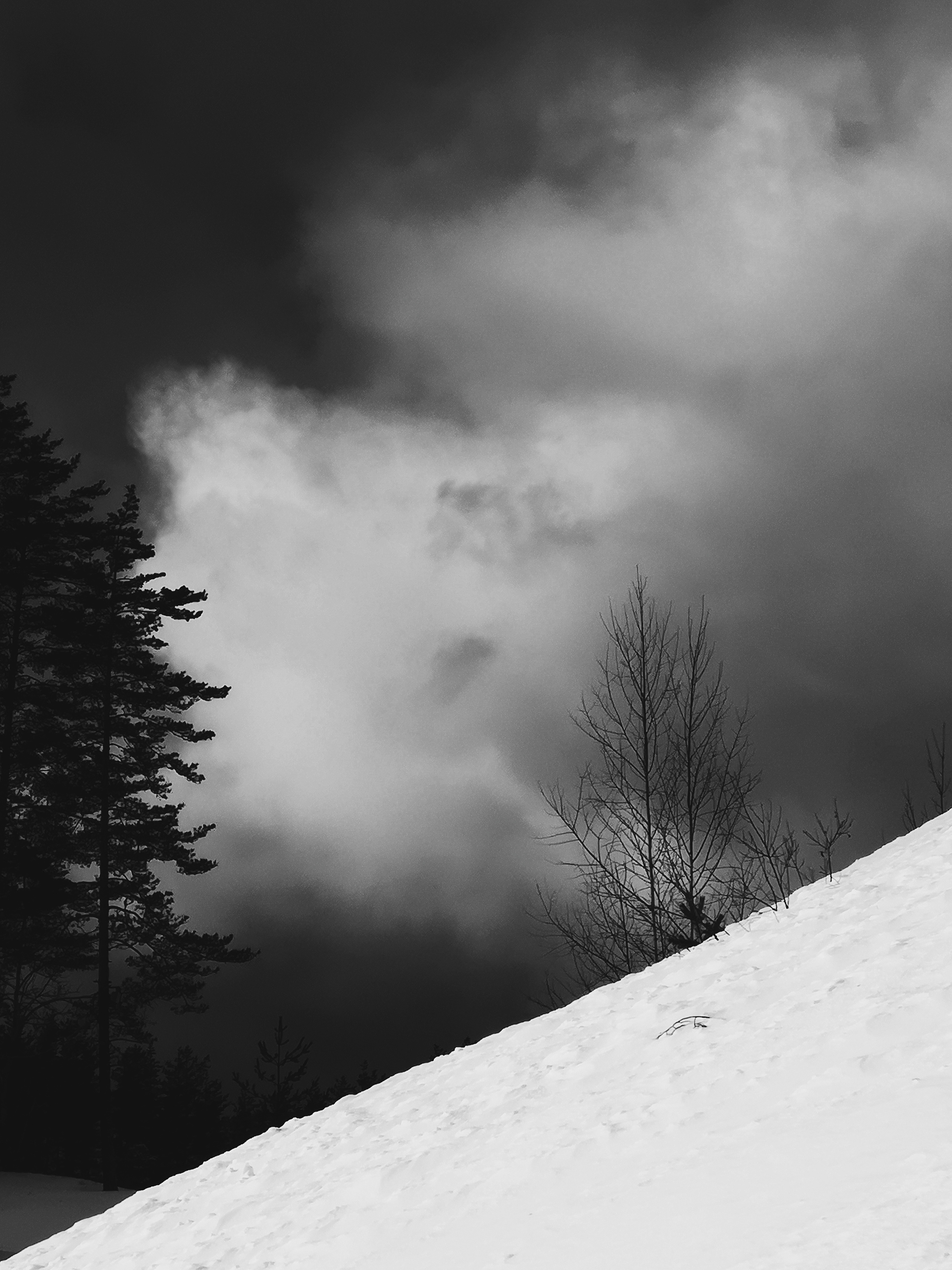 Разное. Фотограф Анастасия Федорова  Санкт-Петербург
