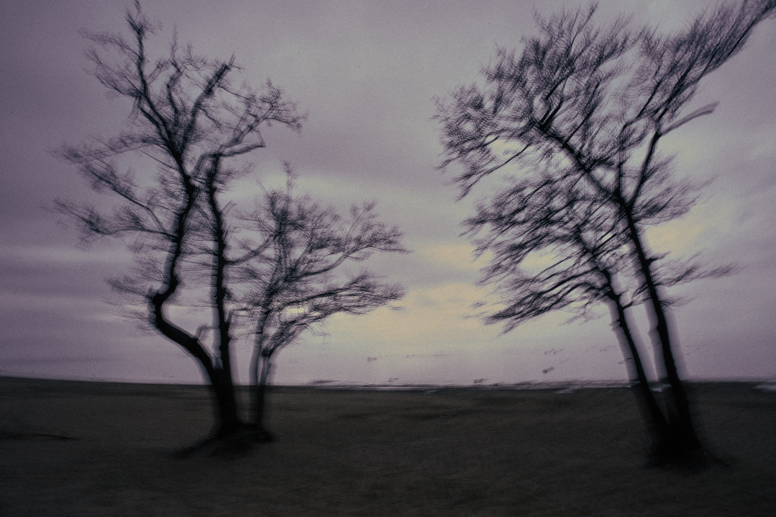 Art пейзаж. Фотограф Анастасия Федорова  Санкт-Петербург