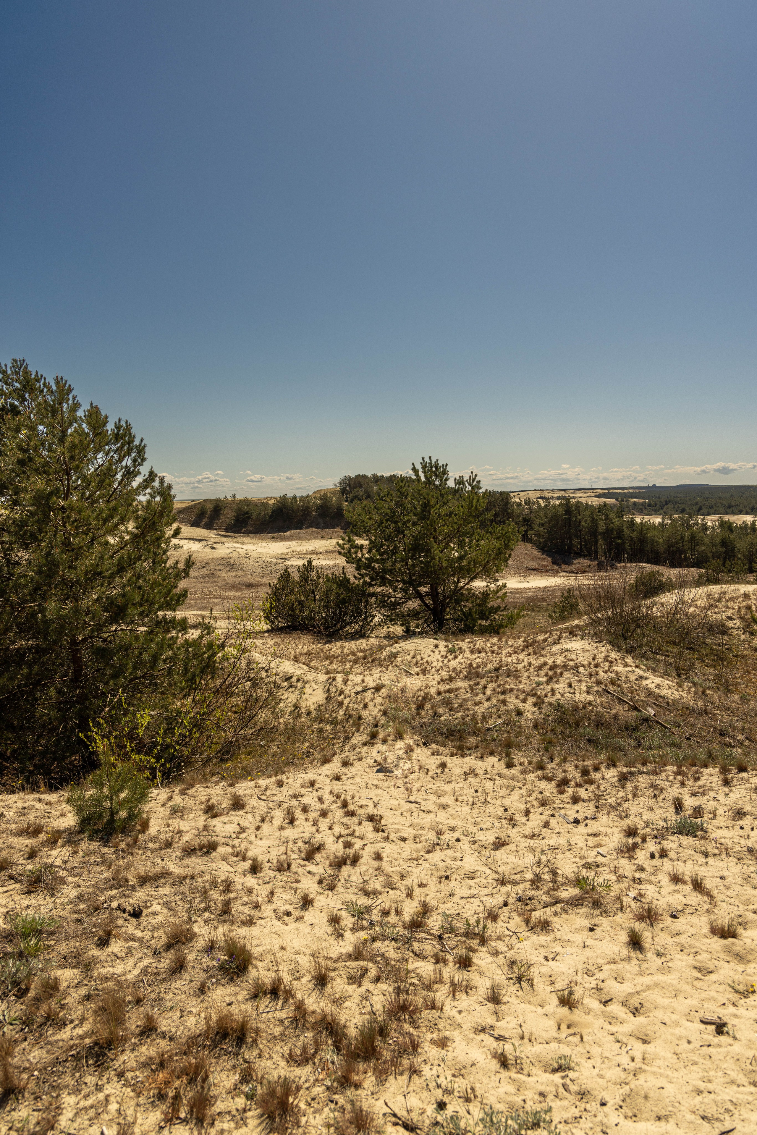 Архитектура и пейзажи. Главная