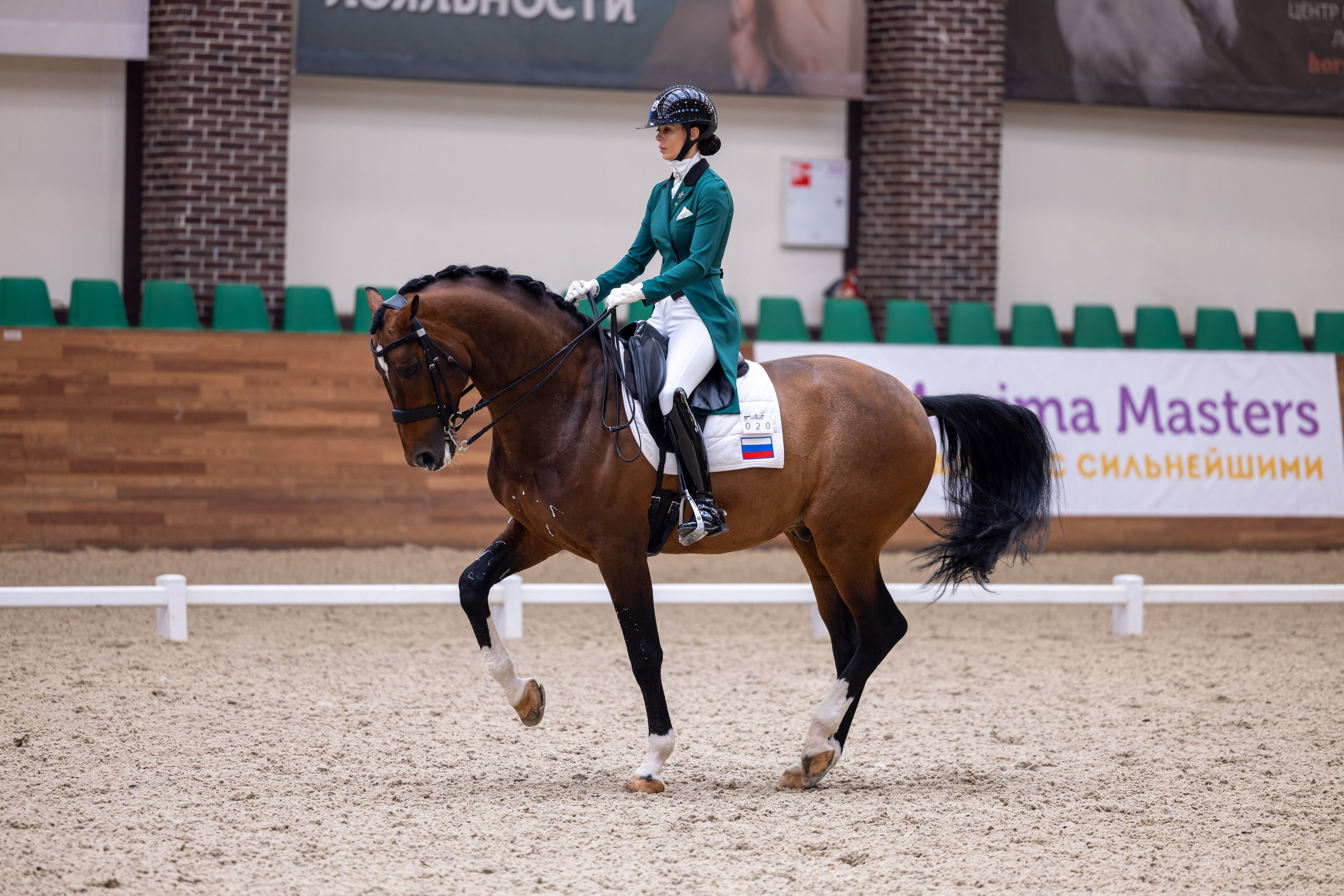 Выездка. Mrs.Aquarelia Конный фотограф Марианна Леонтьева