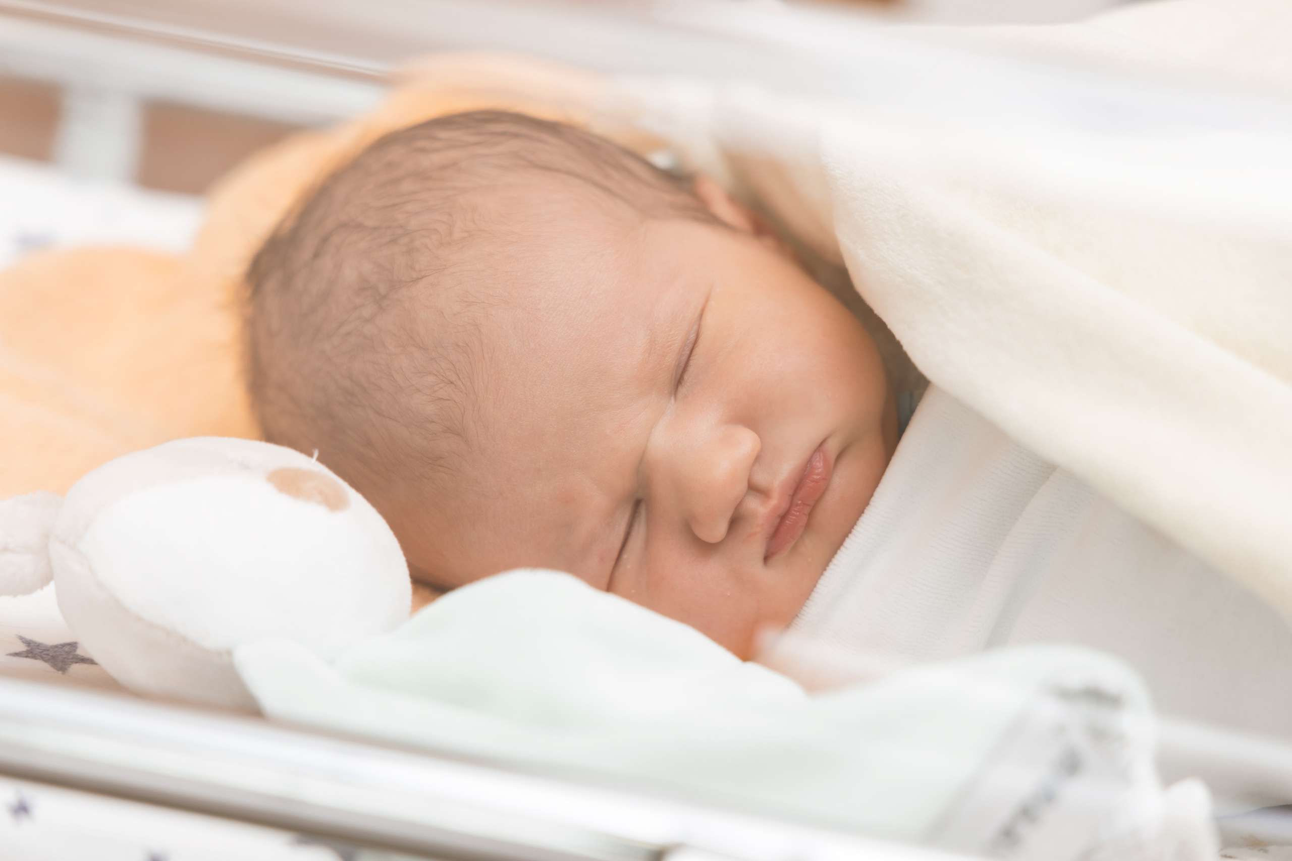 Выписка из роддома. Photomantis