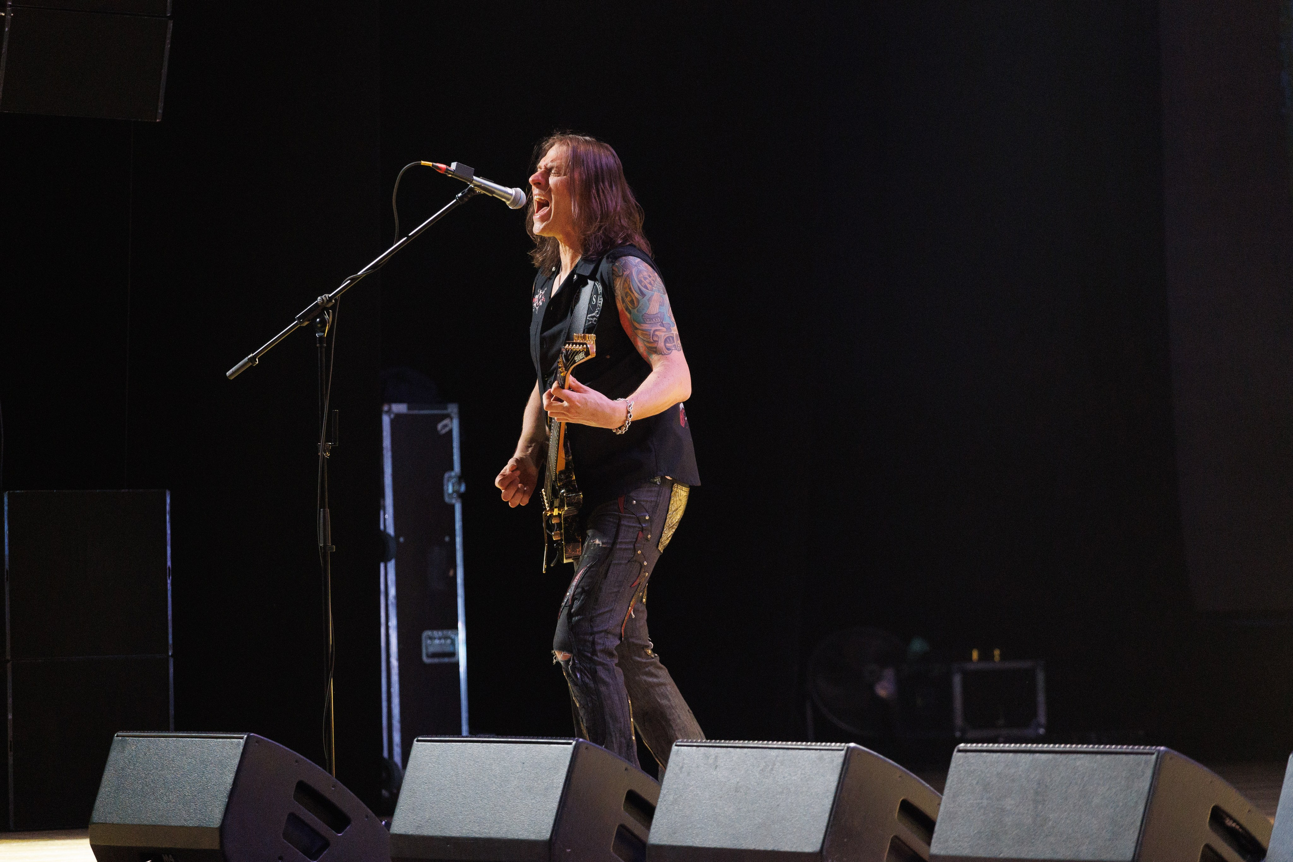 «КИПЕЛОВ». Photomantis