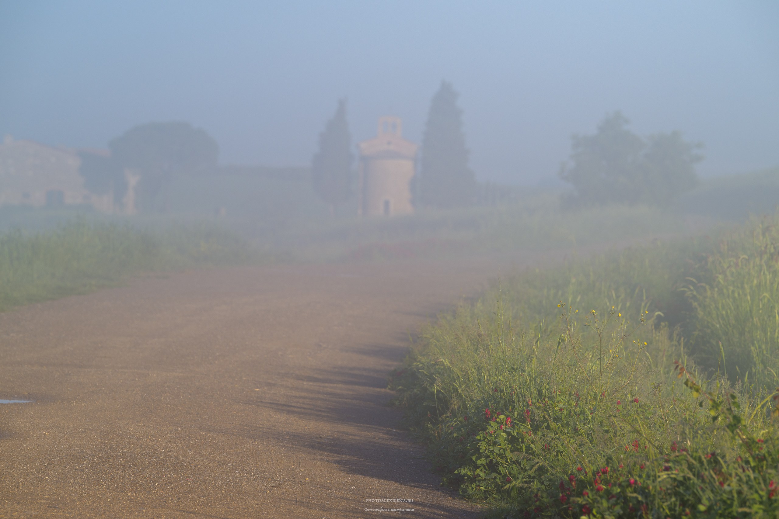Волшебное утро в Тоскане. Авторские стильные фотокартины
