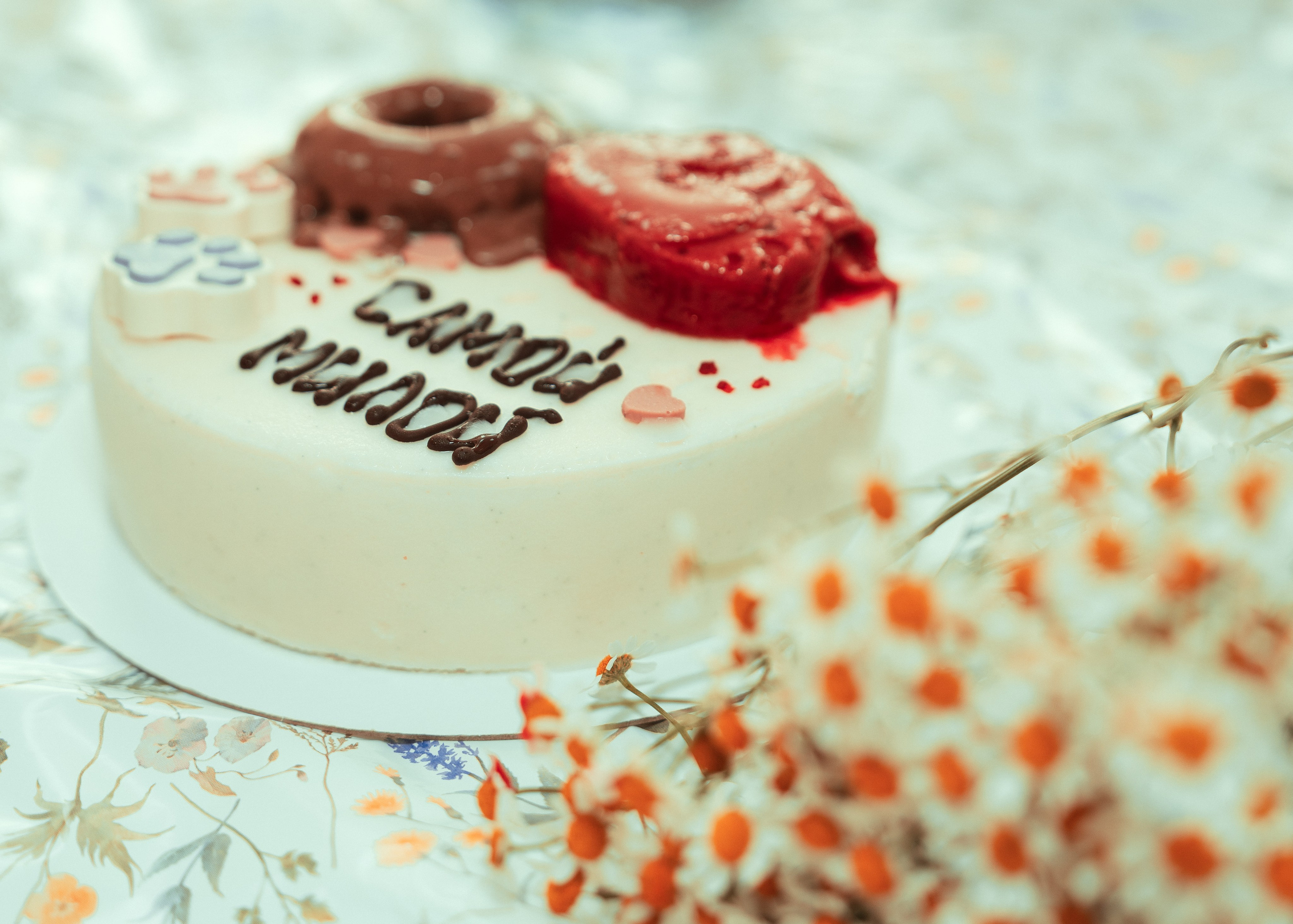 От мишки с любовью. Крамер Юлиана детский и семейный фотограф