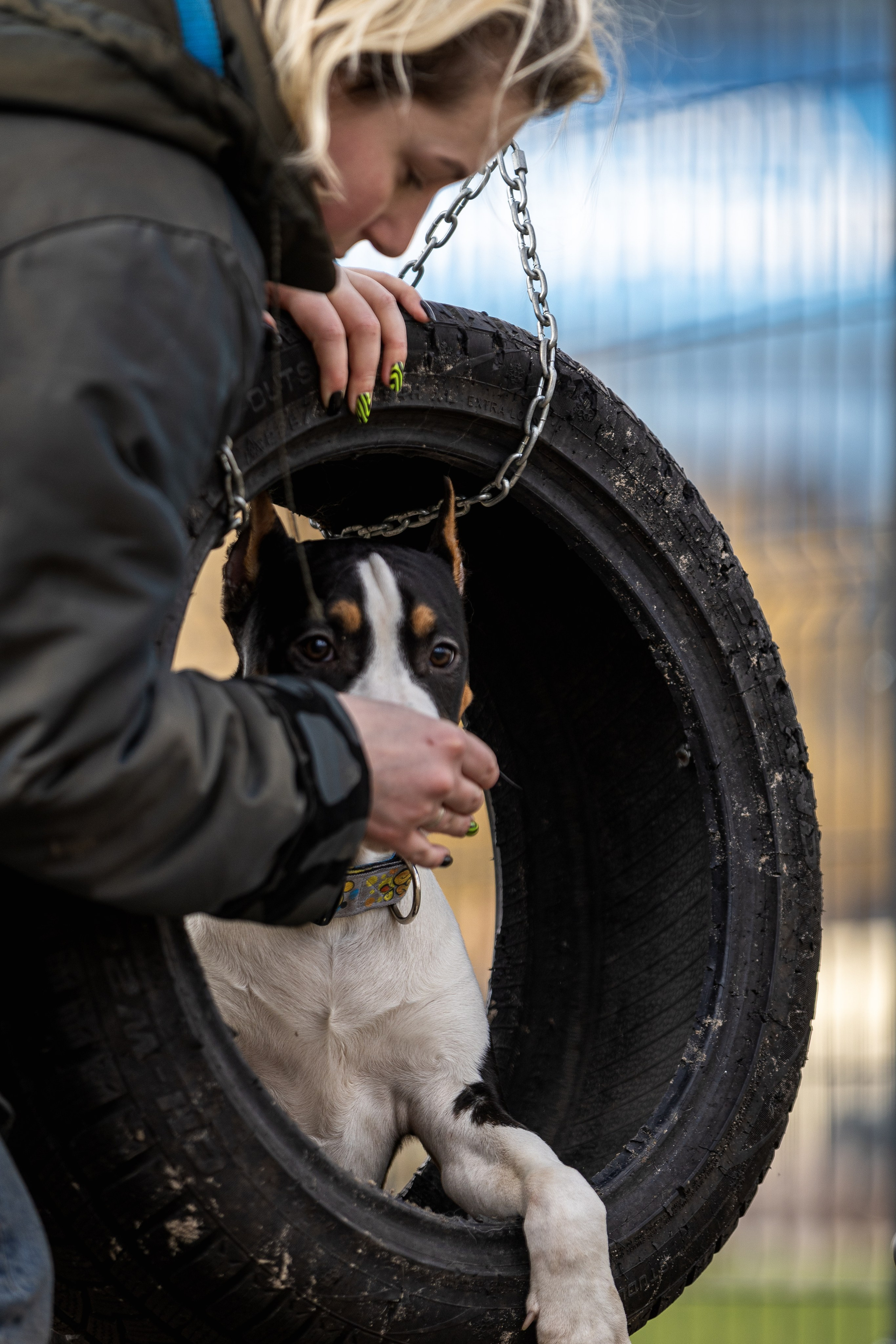 Догтуса 24.03.2024. Ирина Голомб|Фотограф-анималист в  Сочи и Калининграде