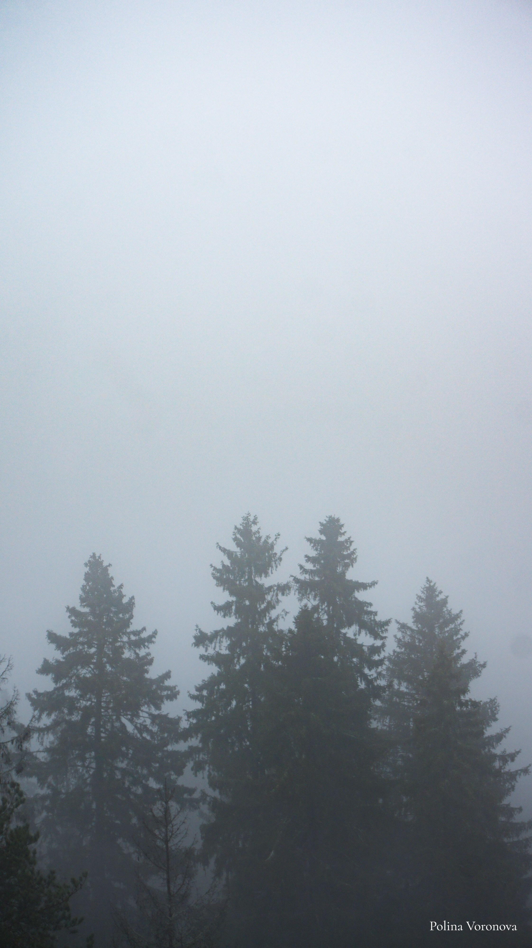 Сортавала Мистическая. Хорошая экспедиция