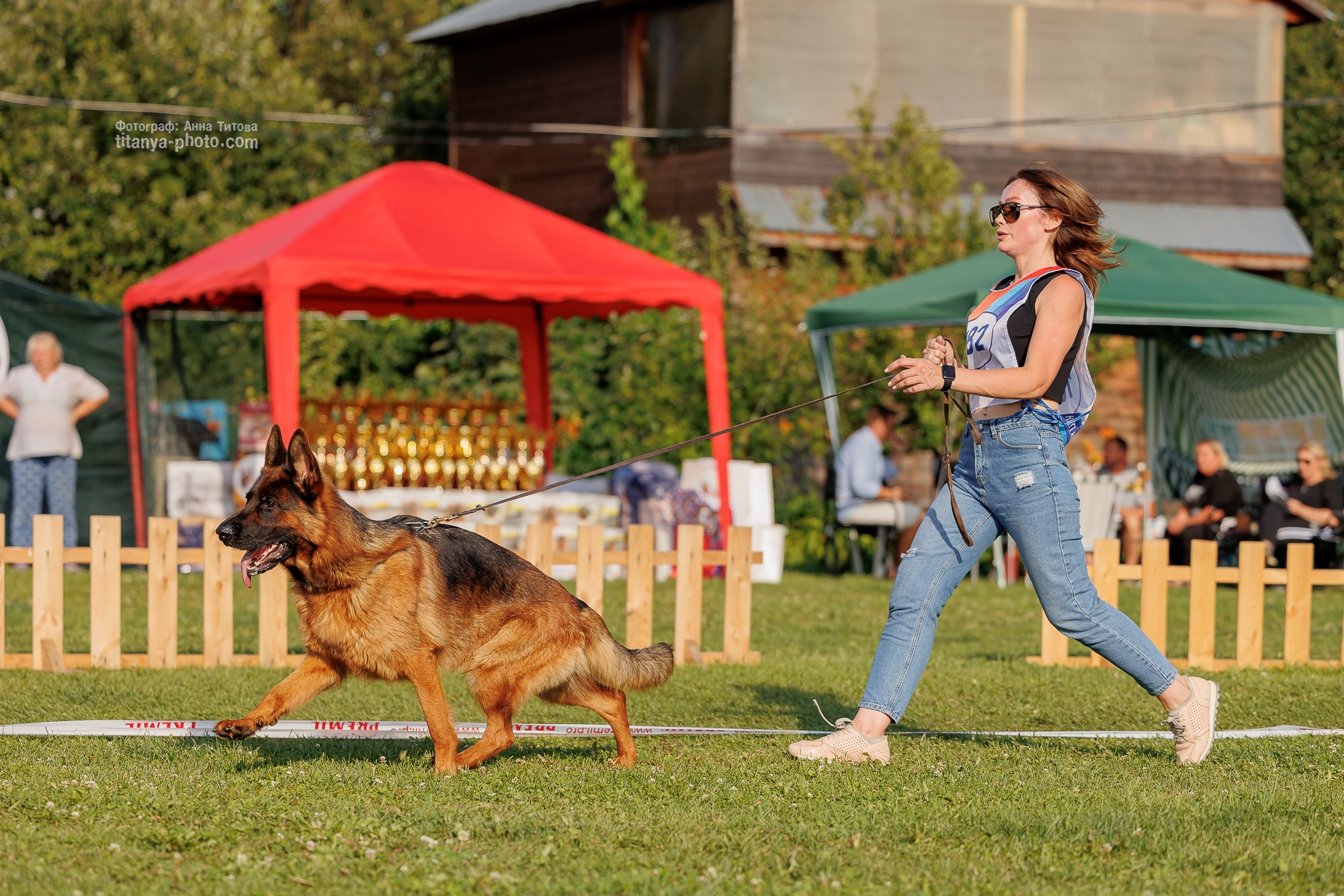 Немецкие овчарки: фото из рингов и вне ринга, мутпроба (фотографии с выставок). Фотограф собак, фотограф-анималист Аня Титова (Titanya). Москва