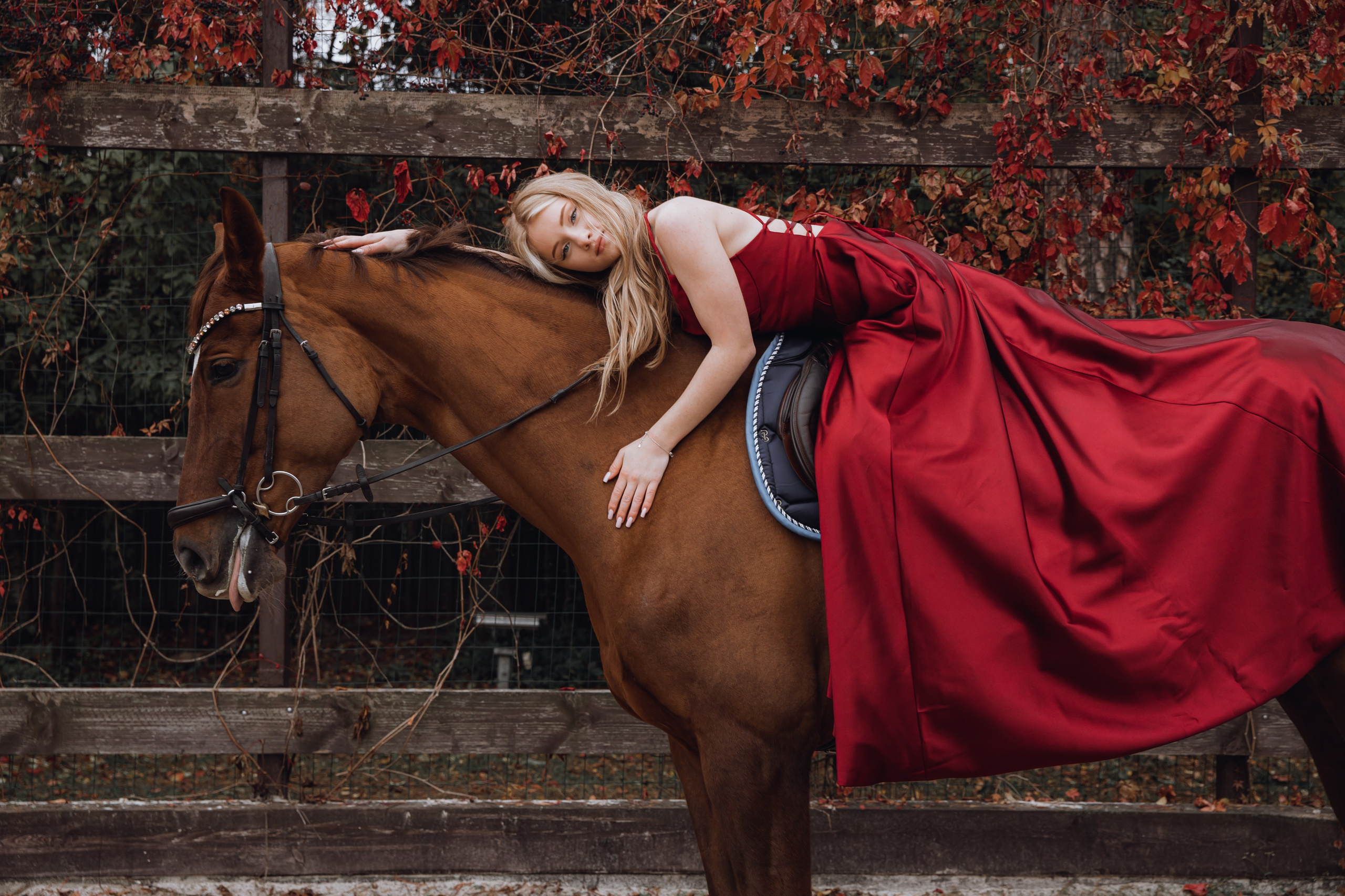 Диана конный клуб «Белая дача». Портретный и семейный фотограф в Москве Ирина Голубчина
