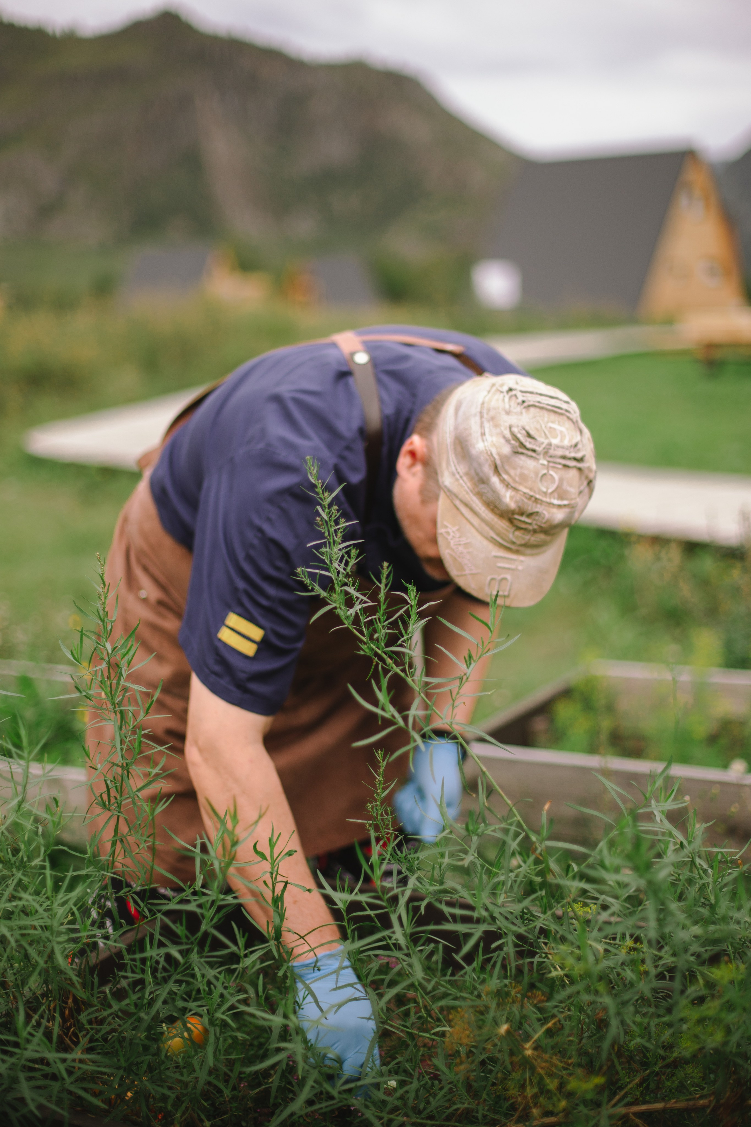 Контент для отелей. Фотограф Горный Алтай