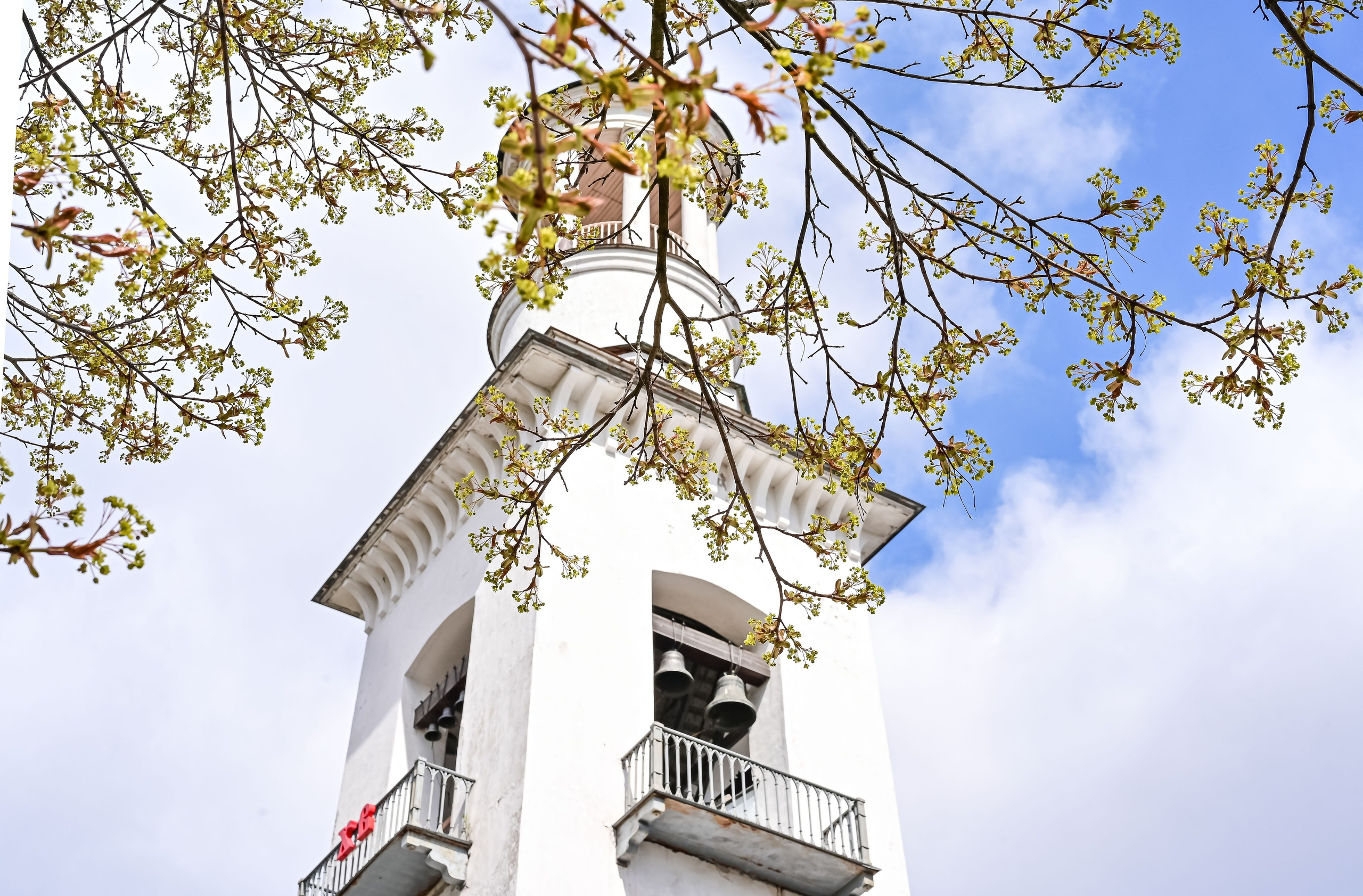 . ZDARONOKIA Репортажный фотограф