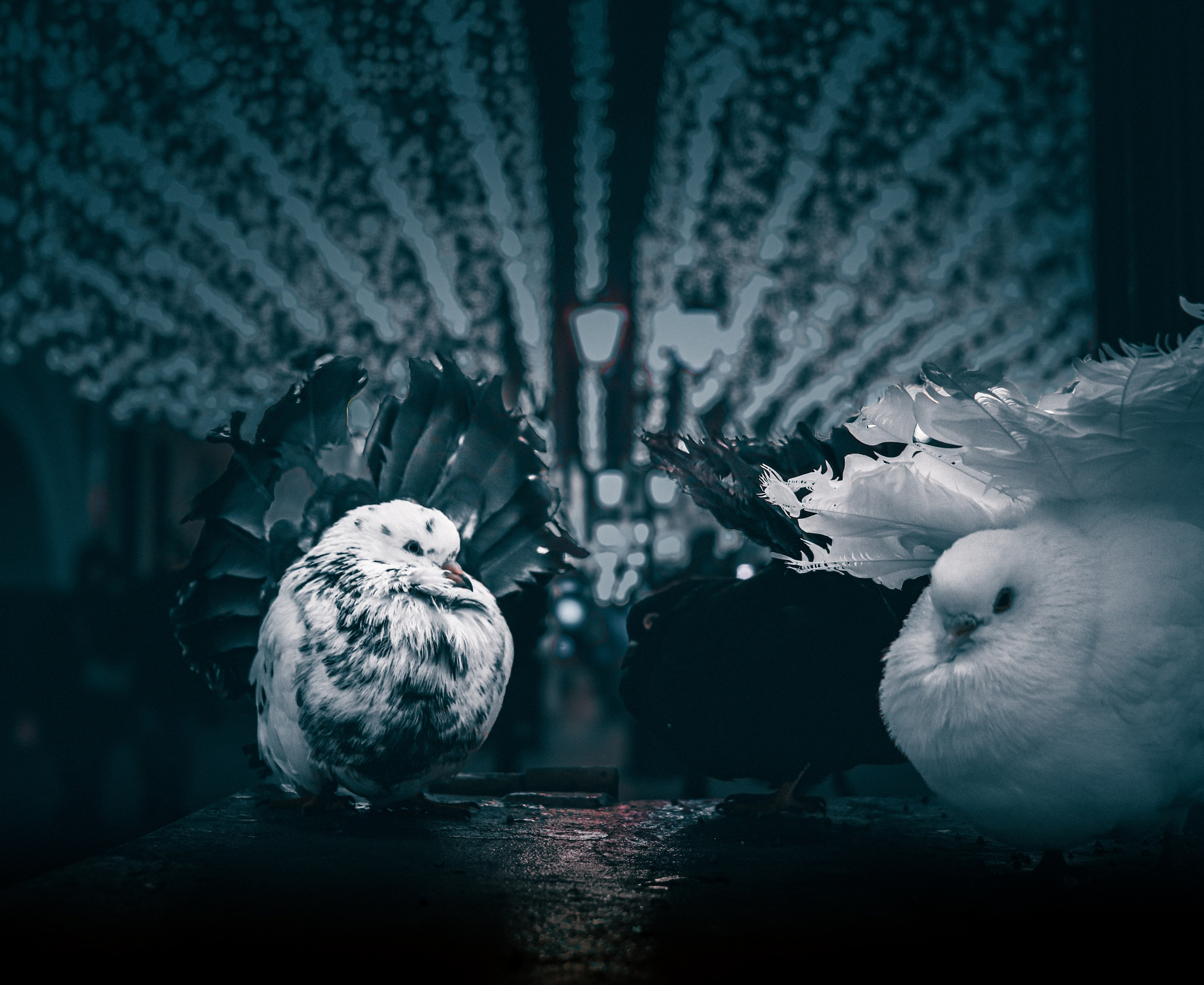 Вечер. Фотограф репортажей и стритфотосессий в Москве Людмила Смирнова