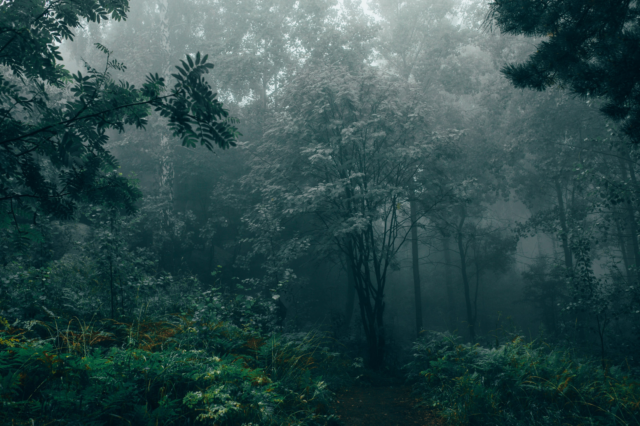 Travel. Фотограф в Челябинске — Дмитрий Носов