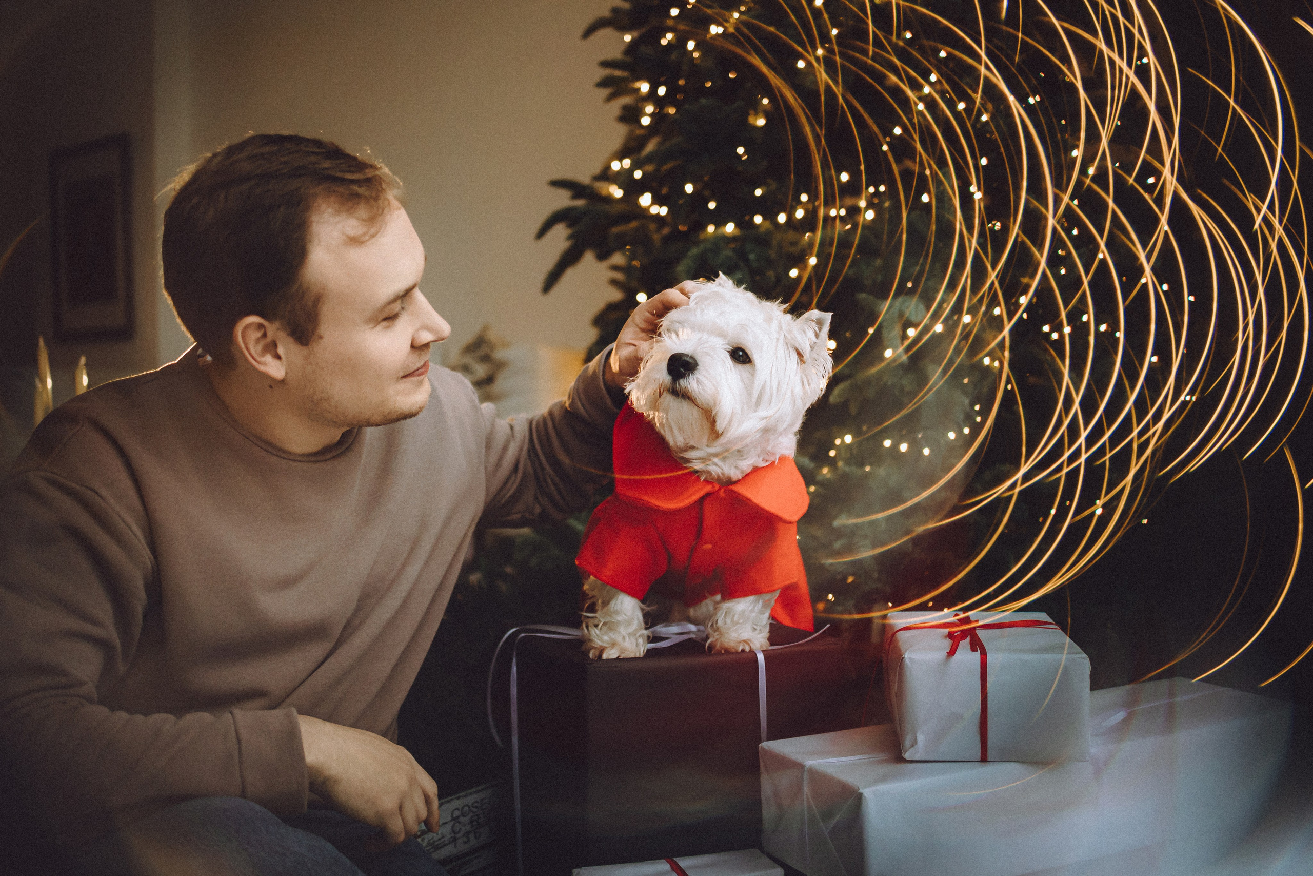 Вика, Глеб и Тори