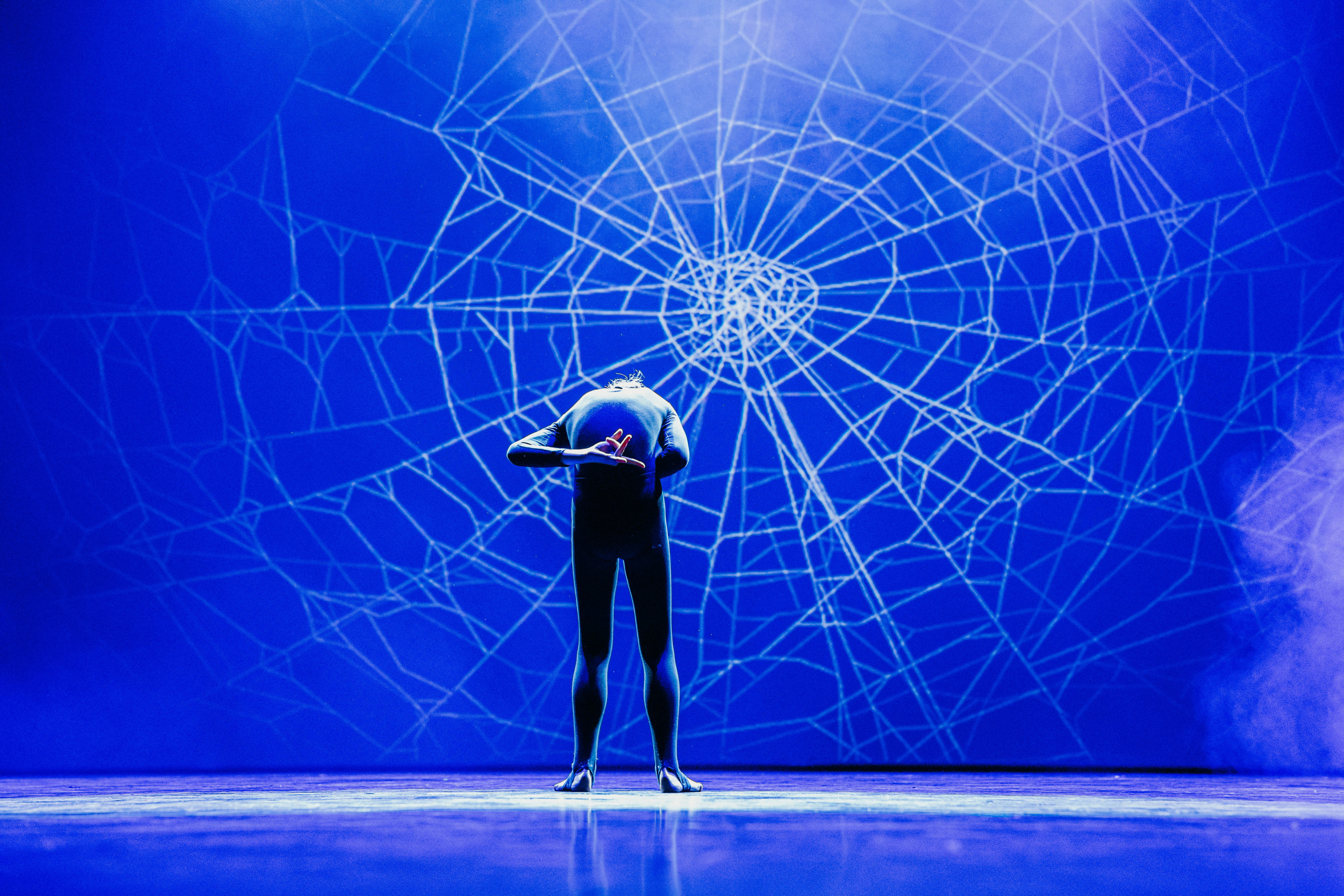 Шоу Июнь 2023. Фотограф Петрова Мария