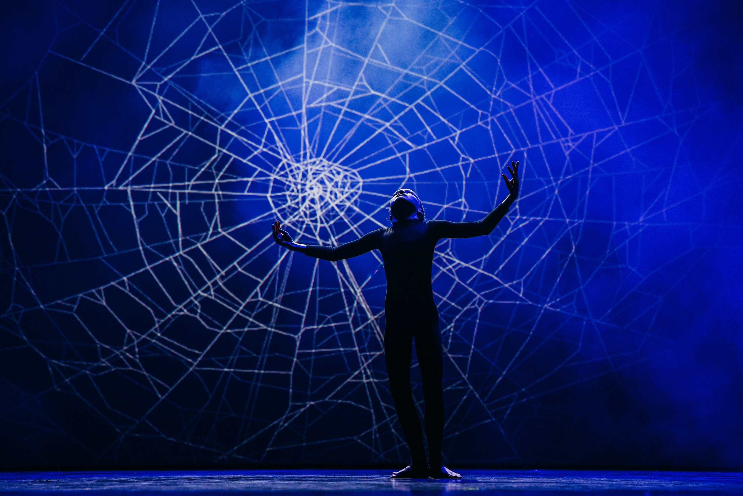 Шоу Июнь 2023. Фотограф Петрова Мария