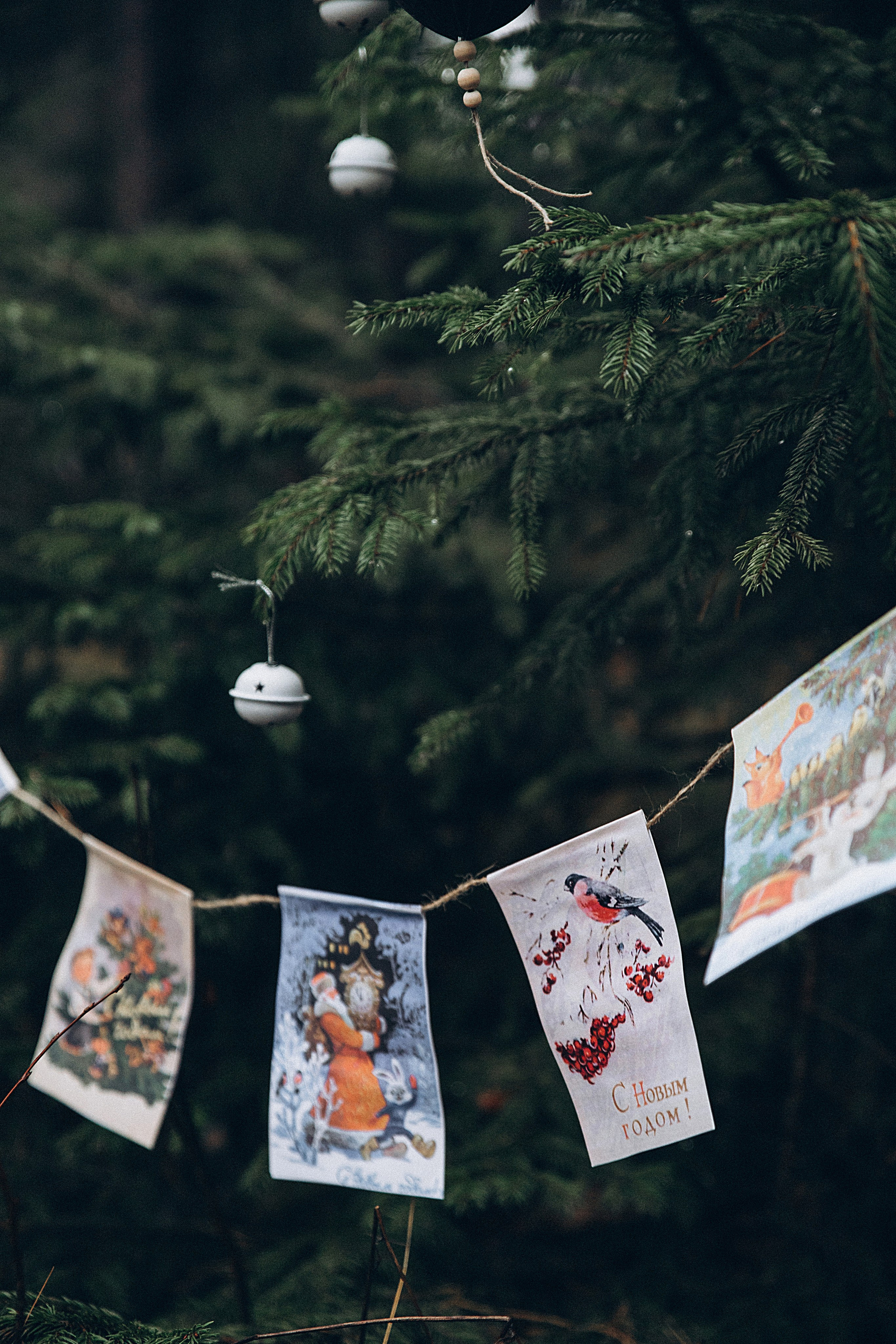 Елка в лесу. Репортажный и детский фотограф в Минске