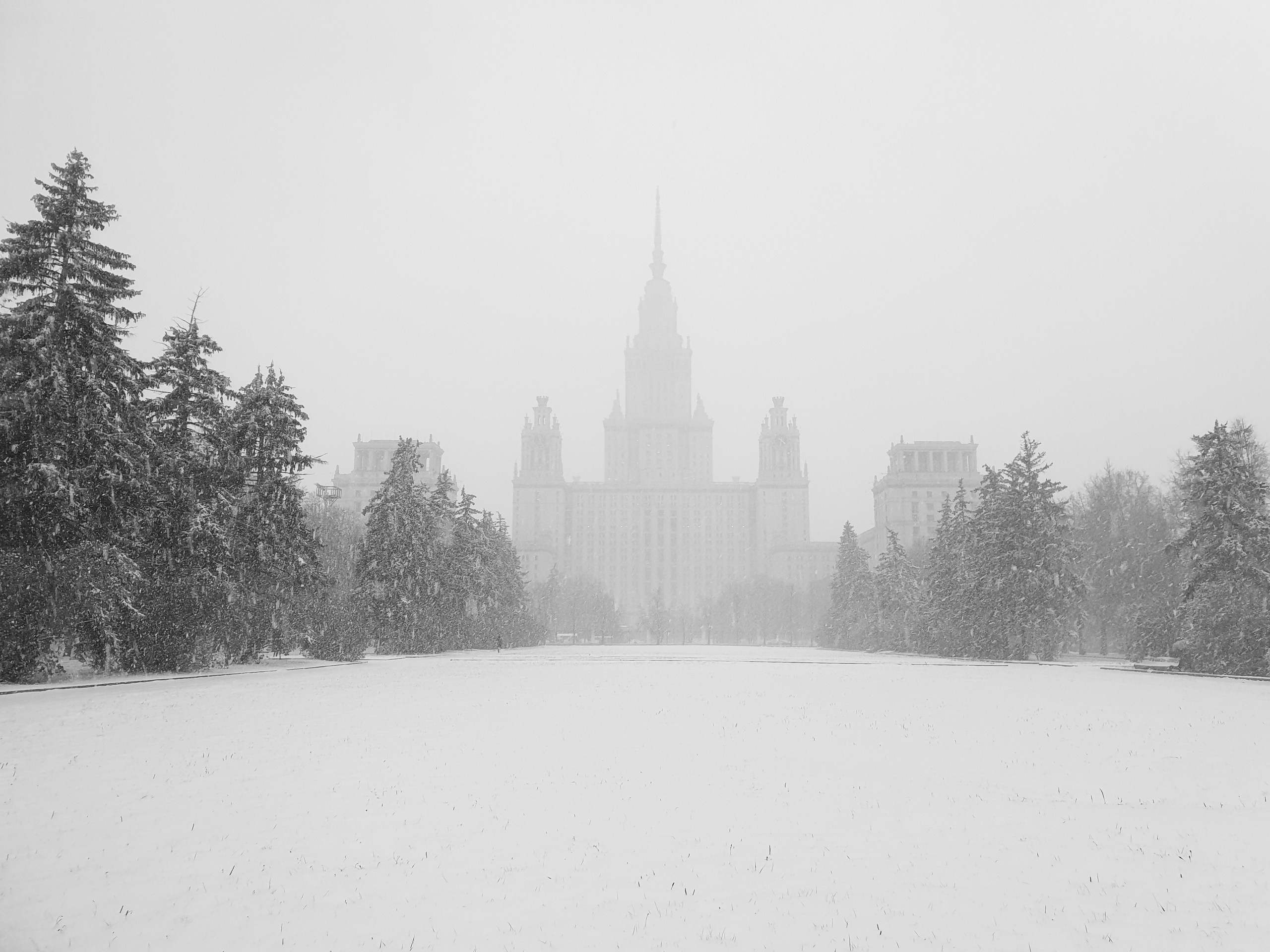 Begomvprofcom.wfolio.pro