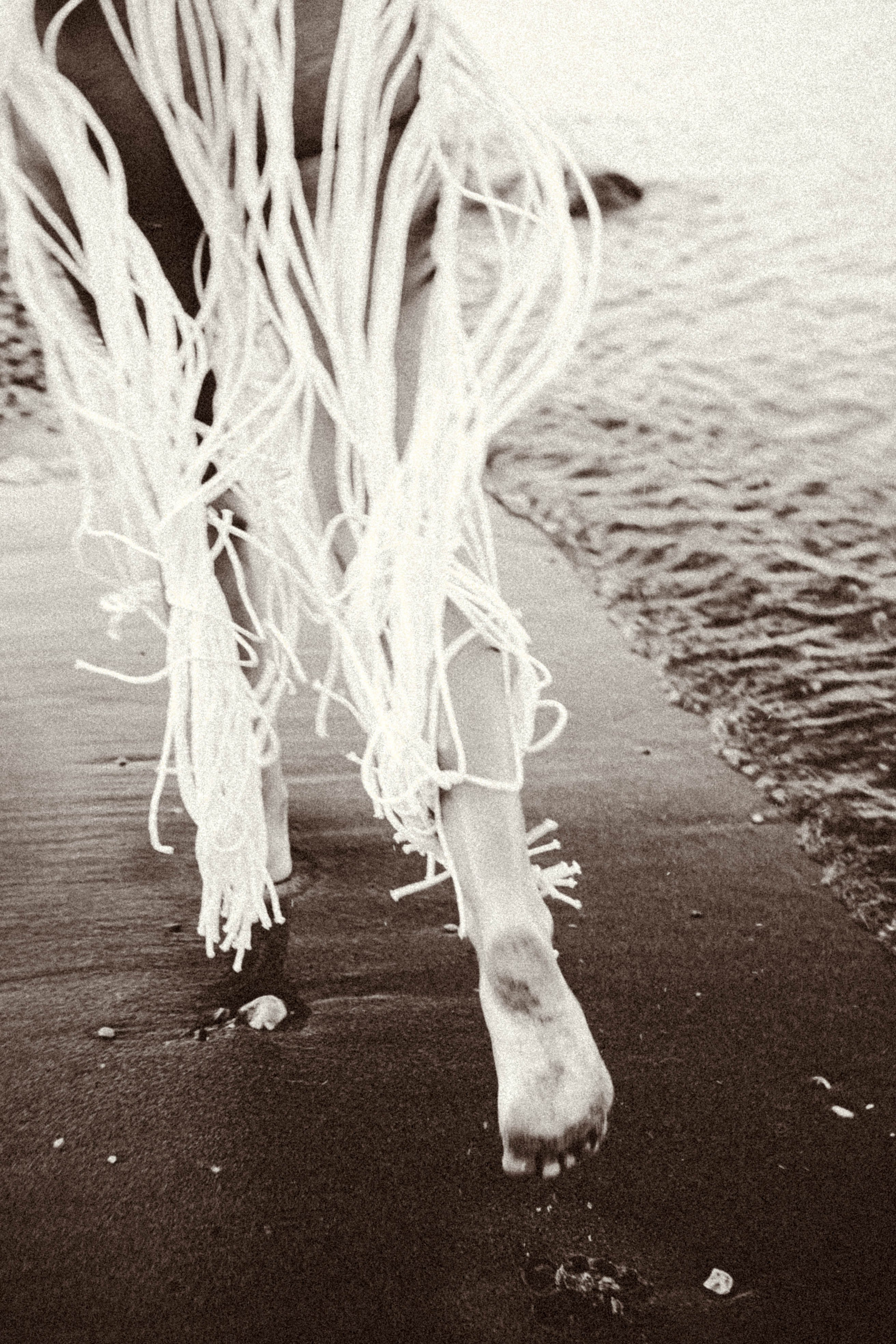 Рассвет. Профессиональный фотограф, Санкт-Петербург — Виктория Богомолова