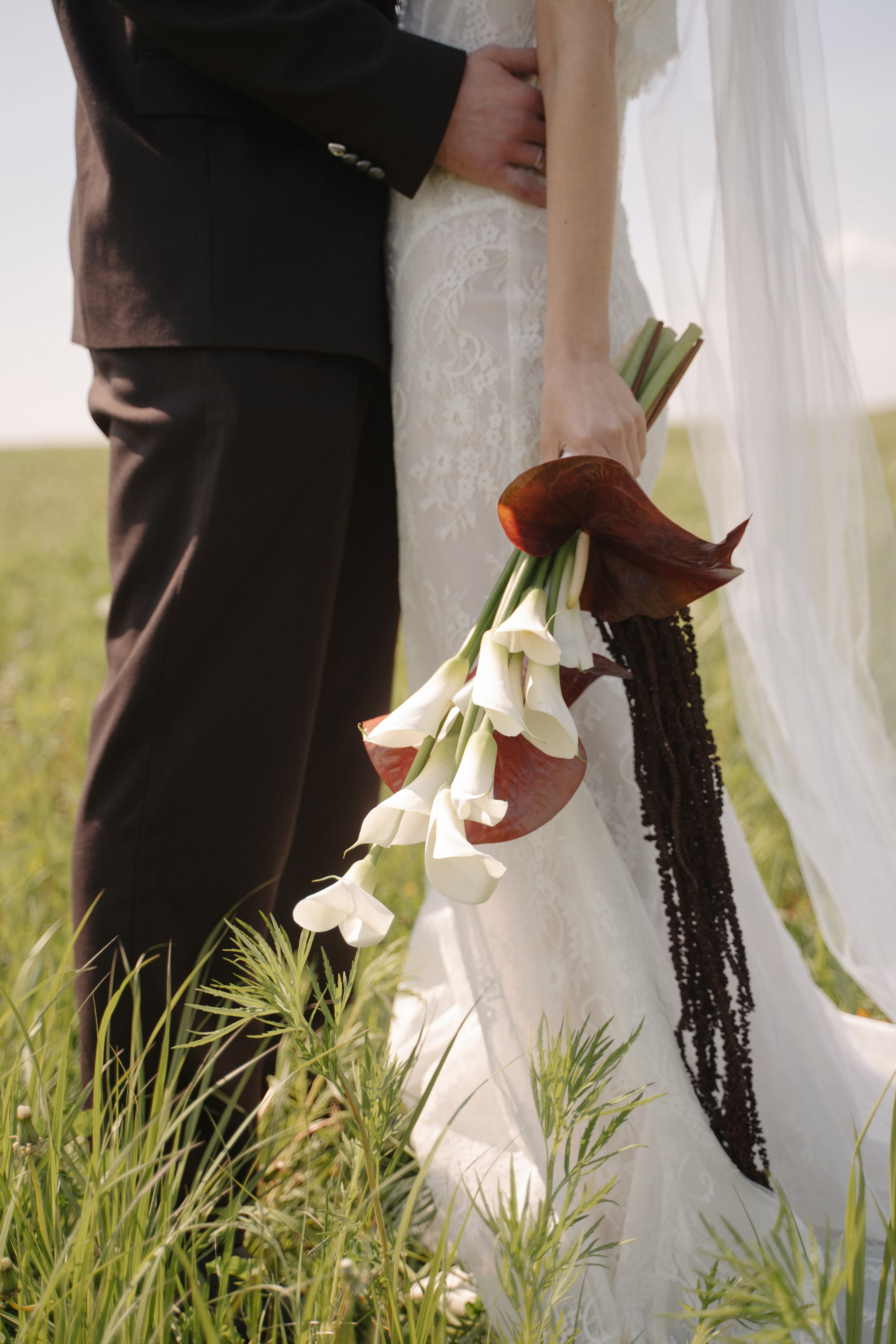 Поле. Фотограф Евстигнеев Илья