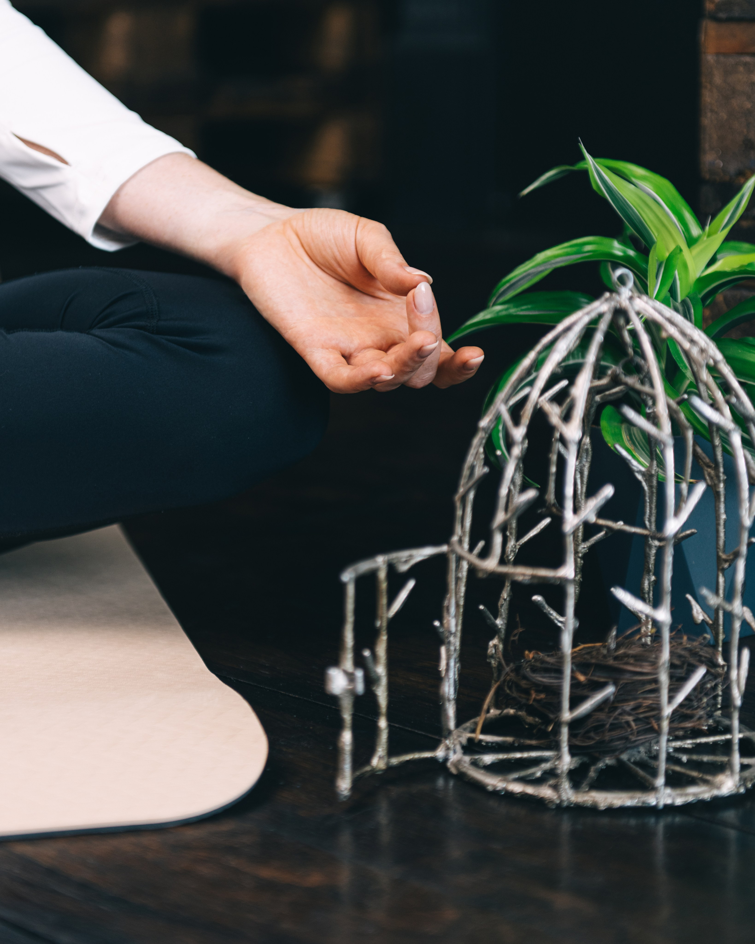 ЙОГА. ДИНА МИХНЕВА спортивный фотограф Москва