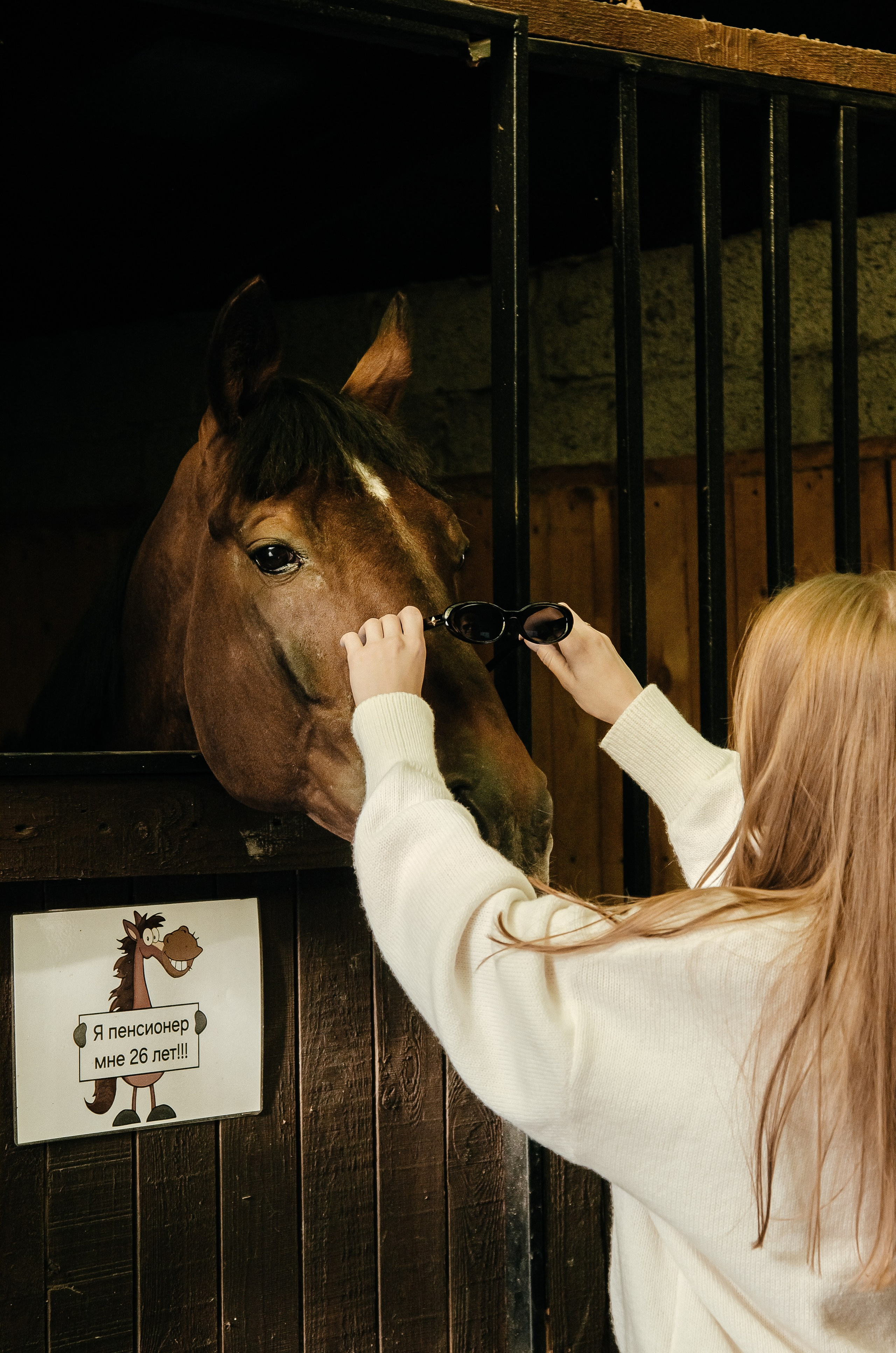 Дом-музей лошадей Хуторъ. Фотографы в Тюмени Андрей и Лидия Войвод