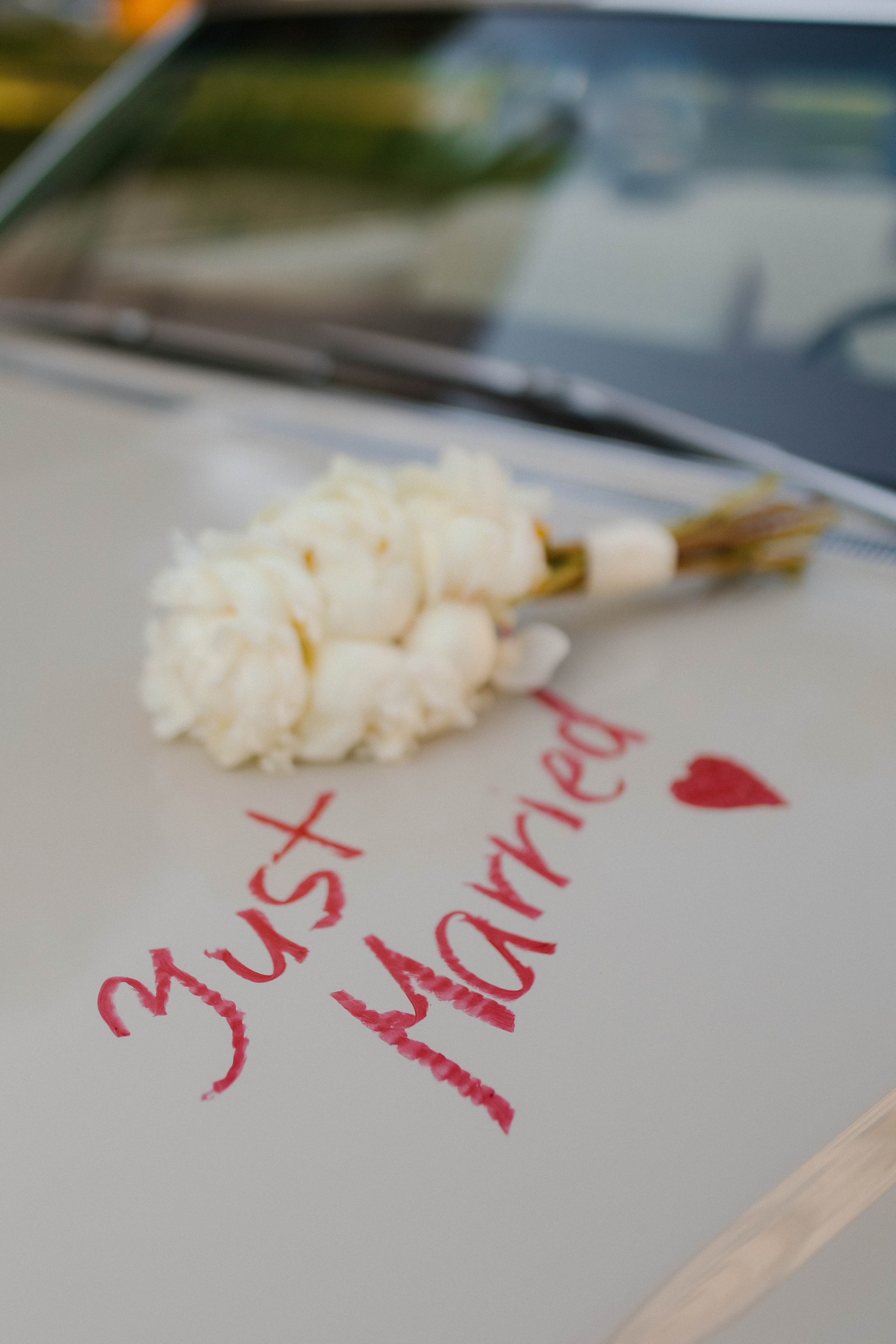 Свадебная прогулка в центре Москвы. Фотограф и видеограф в Мурманске, Москве Екатерина Нечаева