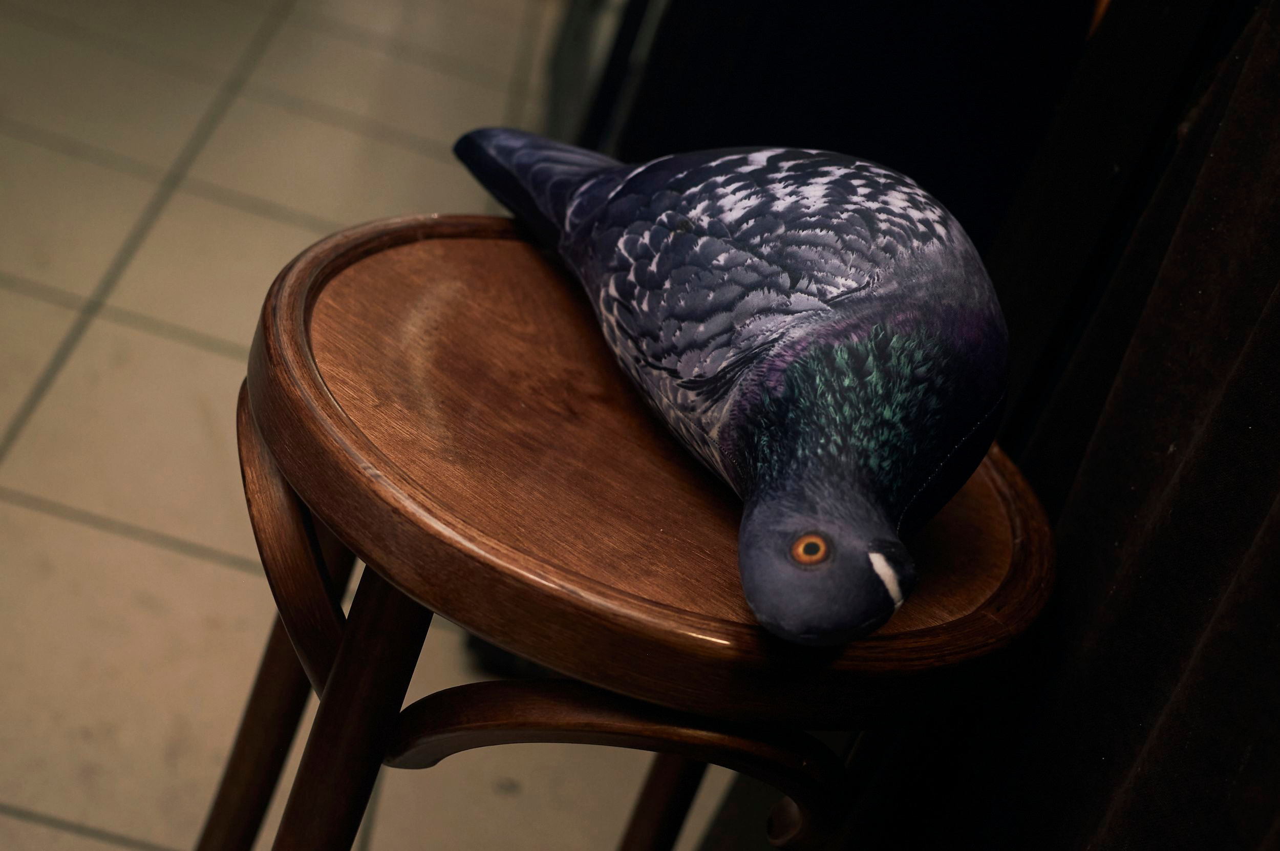 Падик party. Фотограф в Омске Иван Глушков