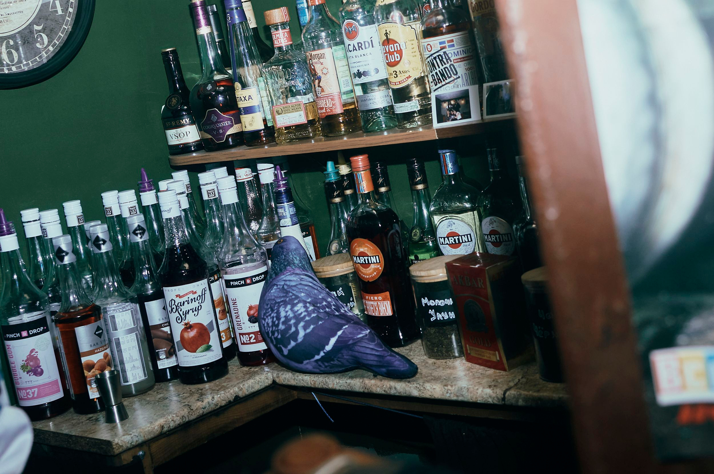 Падик party. Фотограф в Омске Иван Глушков