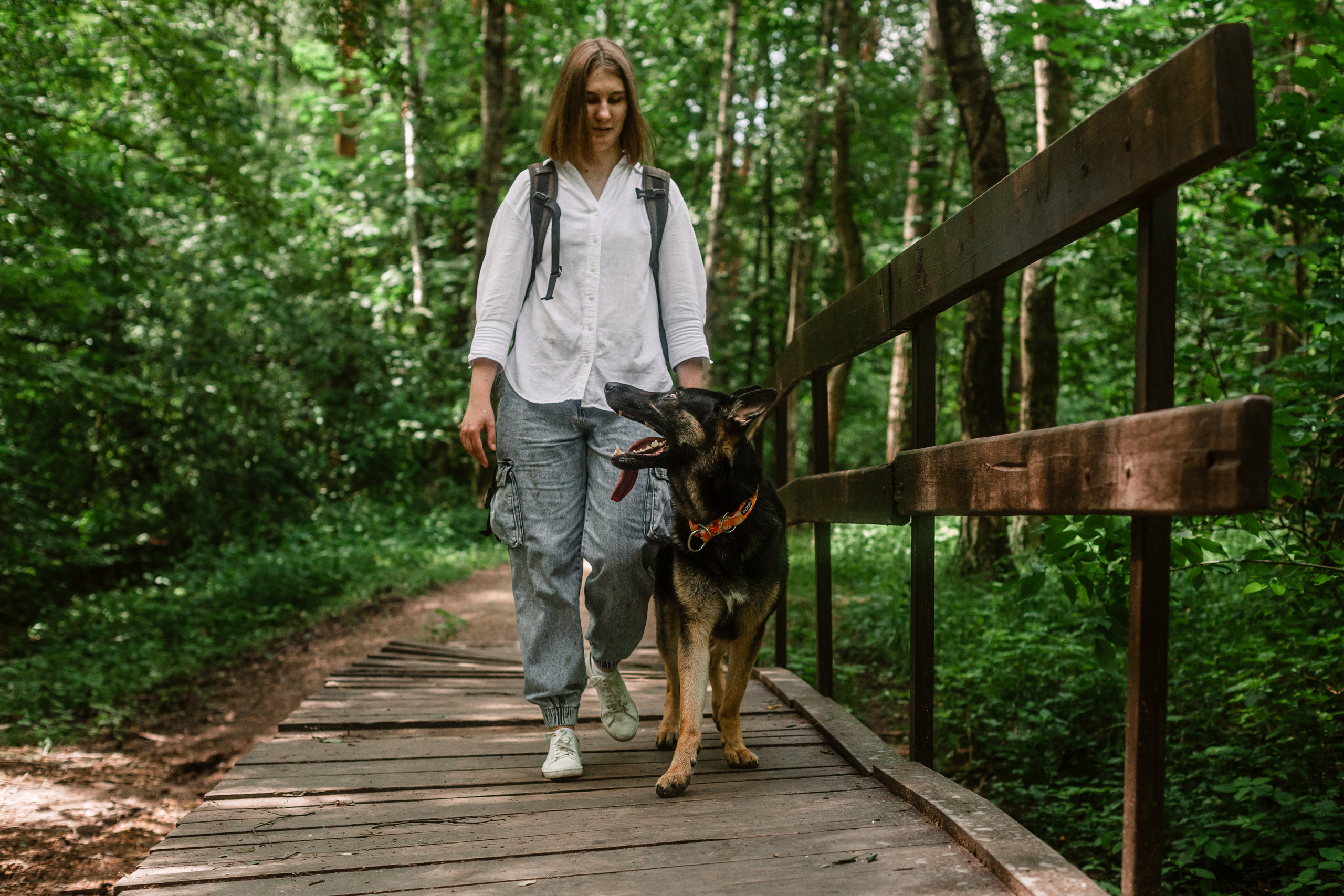 Лесная летняя фотопрогулка. Фотограф-анималист Татьяна Степанова